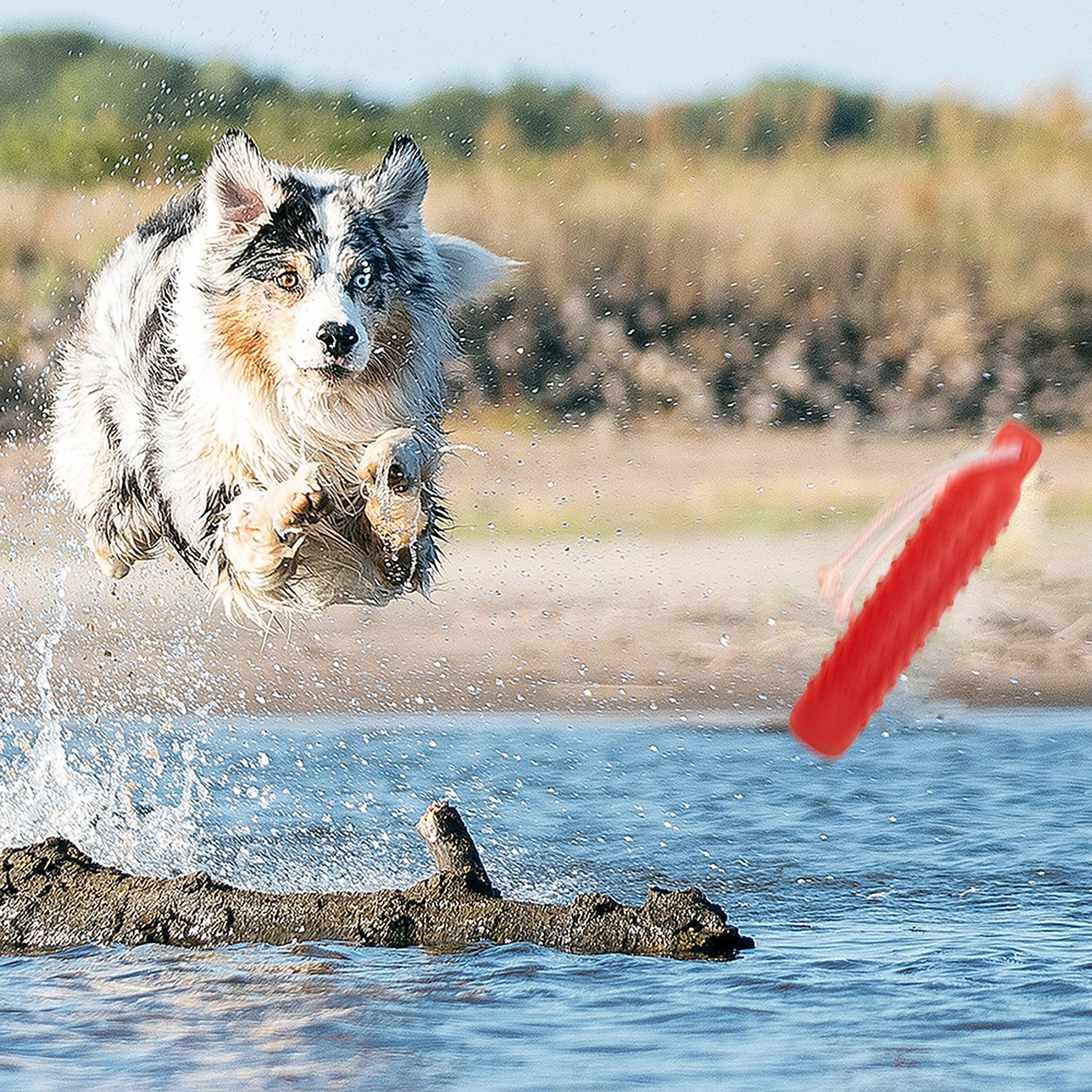 Wasserspielzeug für Hunde, 2 Stück, schwimmende Stoßstange, Apportierspielzeug, Schnuller