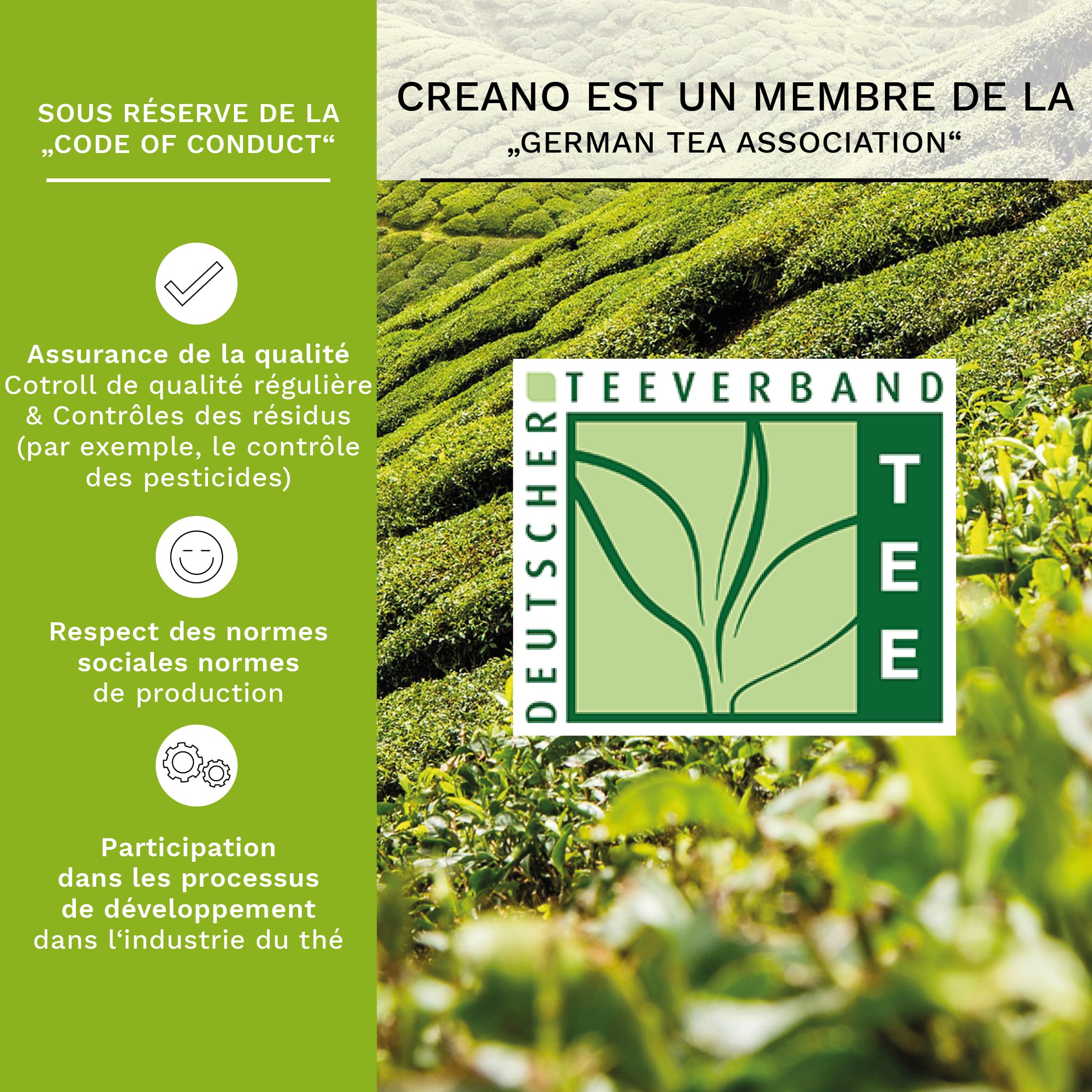 Creano „Fleurs de Thé“ Verts – Paquet en Vrac de 6 variétés – Thé Vert aromatisé – Recharge pour théière – 2 à 3 infusions par fleur