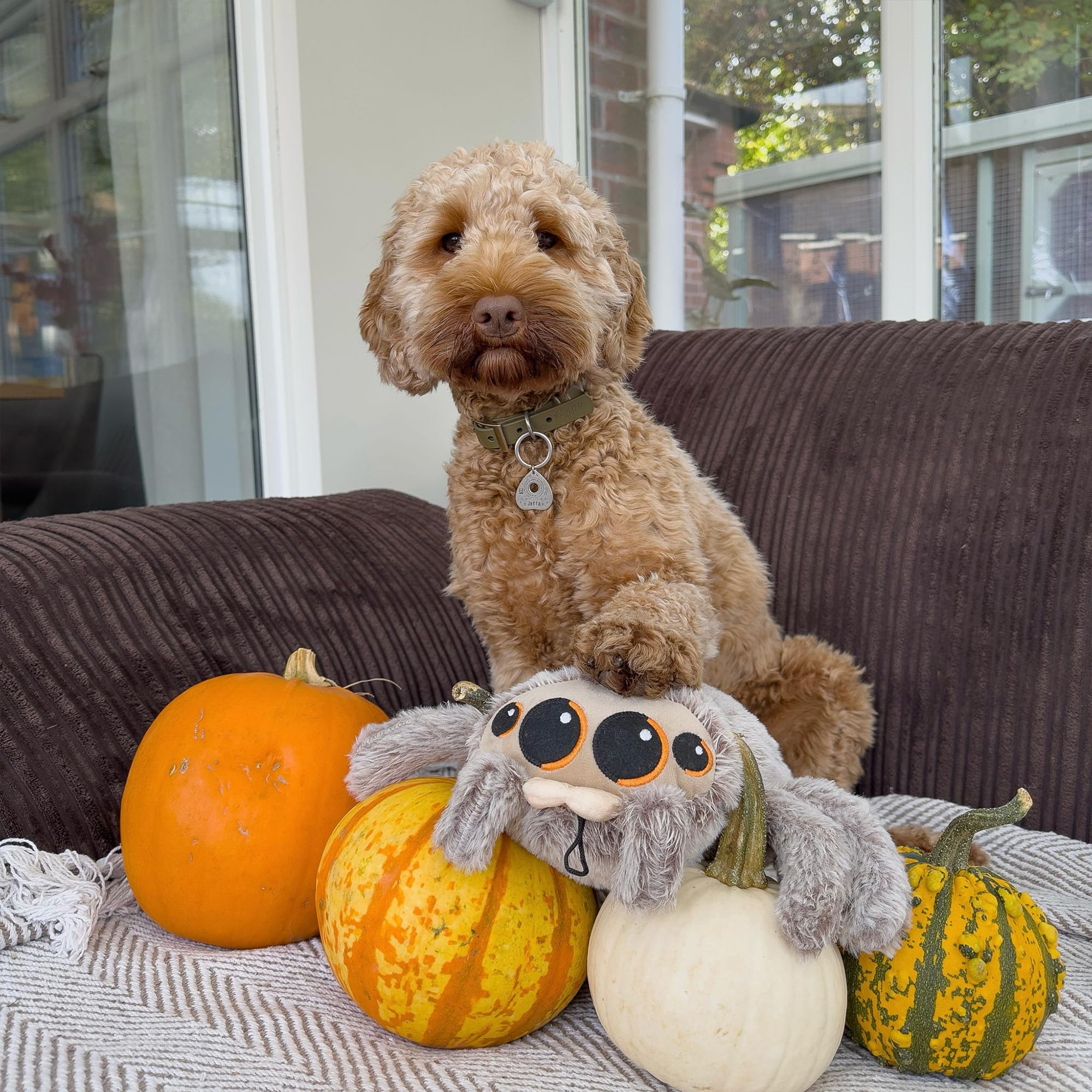 Ancol Play Time Cuddly soft Sid The Spider loveable plush character for dogs, Grey, 30cm - Image 2