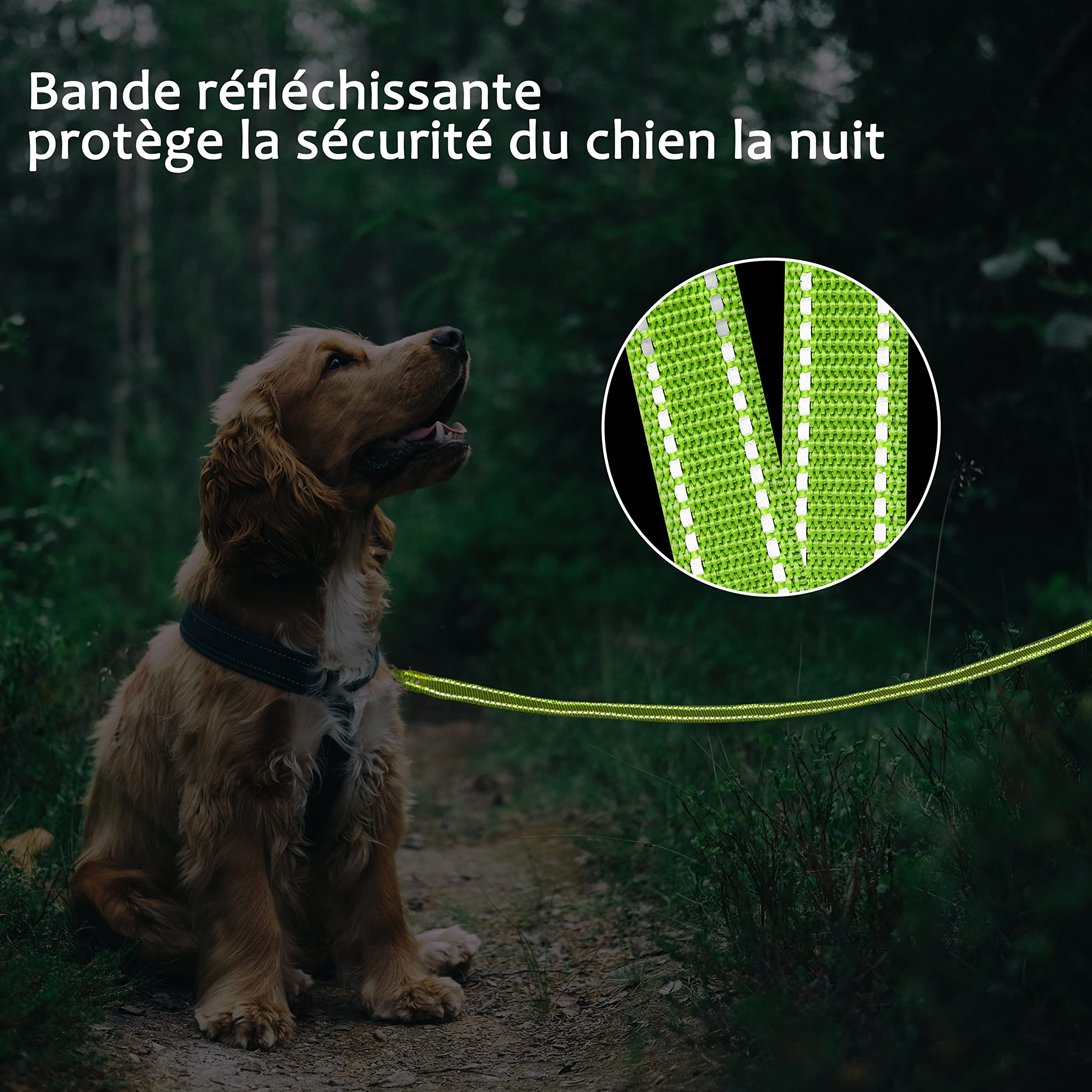 COMSLE Longe pour Chien 3m / 5m /10m /15m /20m, Longue Laisse Réfléchissante pour Chien avec Poignée Rembourrée, Laisses de Dressage pour Chiens avec Crochet Solide de Petites à Grandes Taille