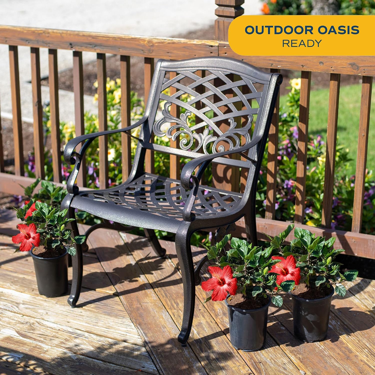 Costa Farms Live Tropical Hibiscus Outdoor Plants, 4-Pack of Real Flowering Plants in 1-Quart Grower Pots, 10-12 Inches Tall, Natural Air Purifiers for Patio, Deck, & Porch Decor, Red Flowers