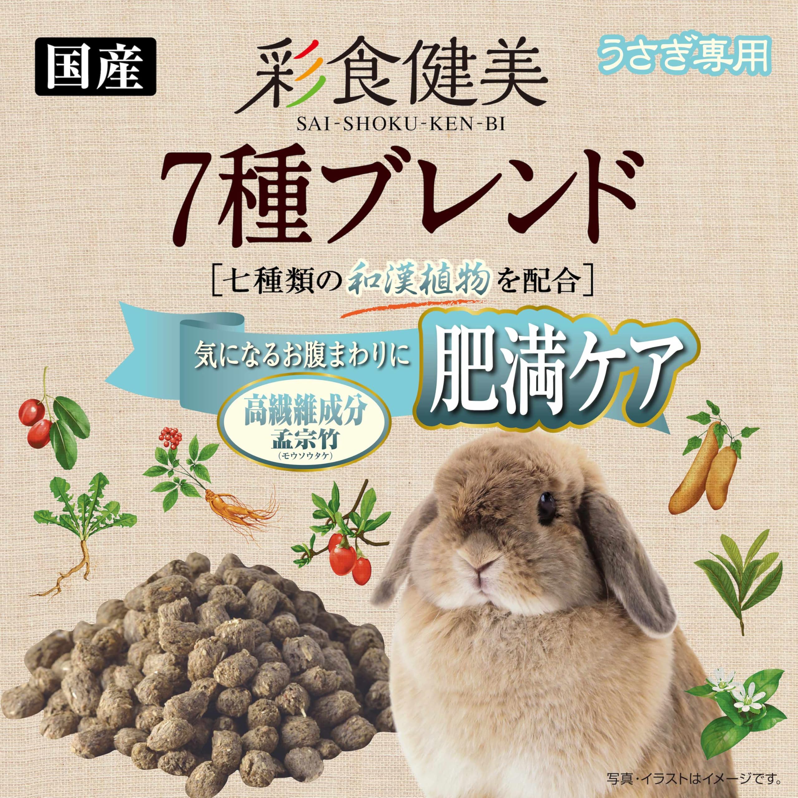 美食健 志成販売/LEDライト GLASS ドーム イグルー(L)/107972 - 花材通販は