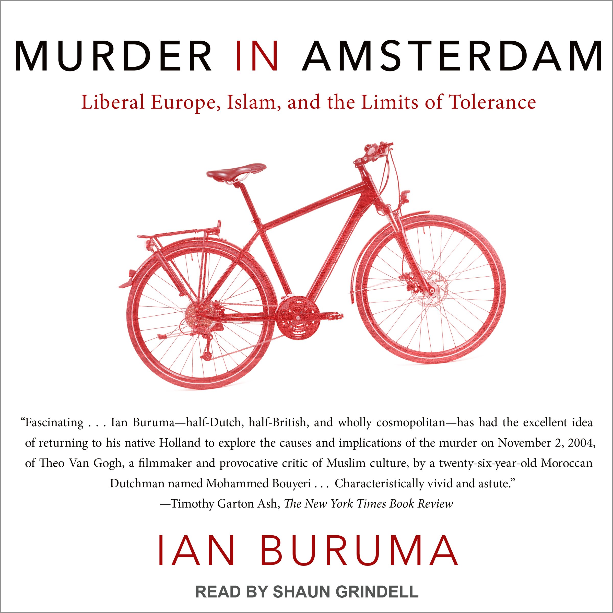 Cover art for Murder in Amsterdam