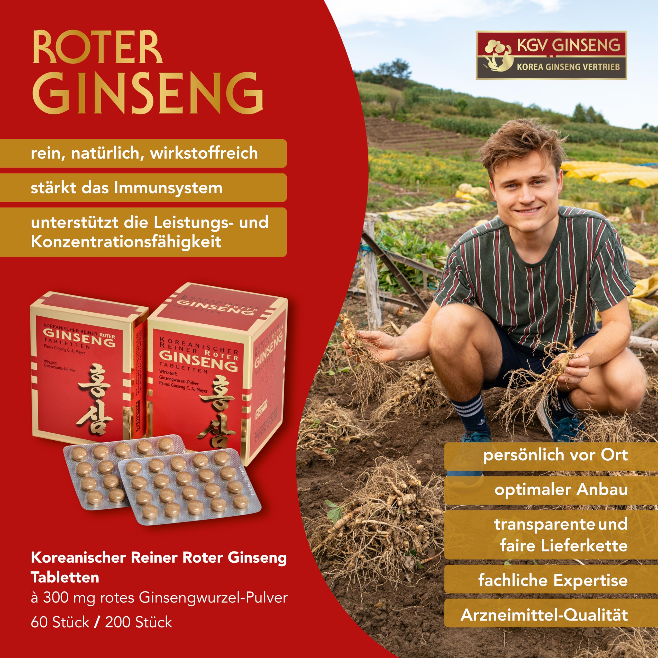 KGV Koreanischer Reiner Roter Ginseng, 60 Tabletten, je 300 mg Ginsengwurzel-Pulver, Arzneimittel mit 6-jährigem Panax Ginseng