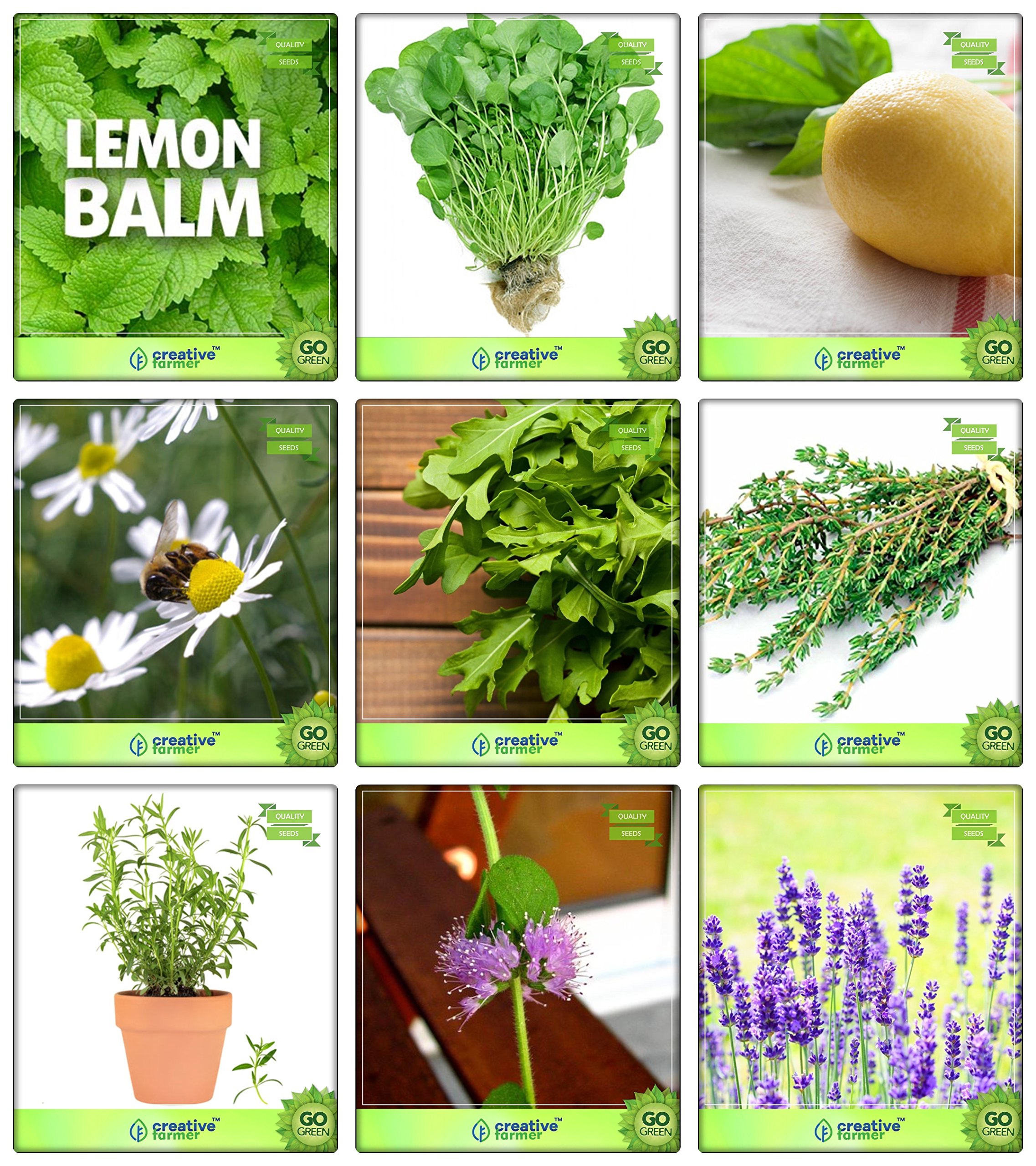 Creative Farmer Herb Seeds For Home Garden Combo Lemon Balm, Cress Common, Lemon Basil, German Chamomille, Wild Rocket, Thyme English Winter, Terragon, Penny Royal, Lavender Herb Seeds Combo Pack (B078V45W4B) Amazon Price History, Amazon Price Tracker