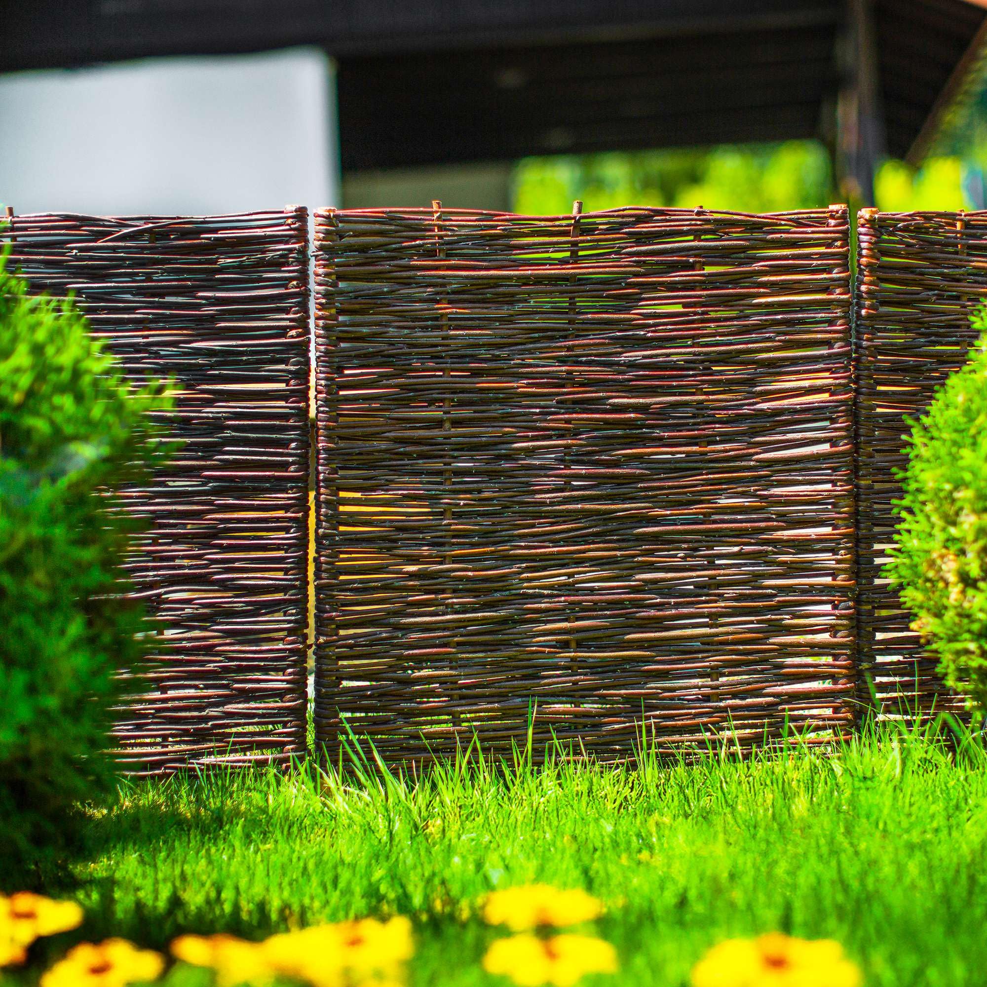 BOGATECO 10 x Wilgengazonrand, houten | 100 cm x10 cm | insteekomheining, omheining van vijvers, voor planten en bloembedde | Border voor Flower Bed Patio Garden | houten gazonrand, rieten omheining BOGATECO 10 x Wilgengazonrand, houten | 100 cm x10 cm | insteekomheining, omheining van vijvers, voor planten en bloembedde | Border voor Flower Bed Patio Garden | houten gazonrand, rieten omheining
