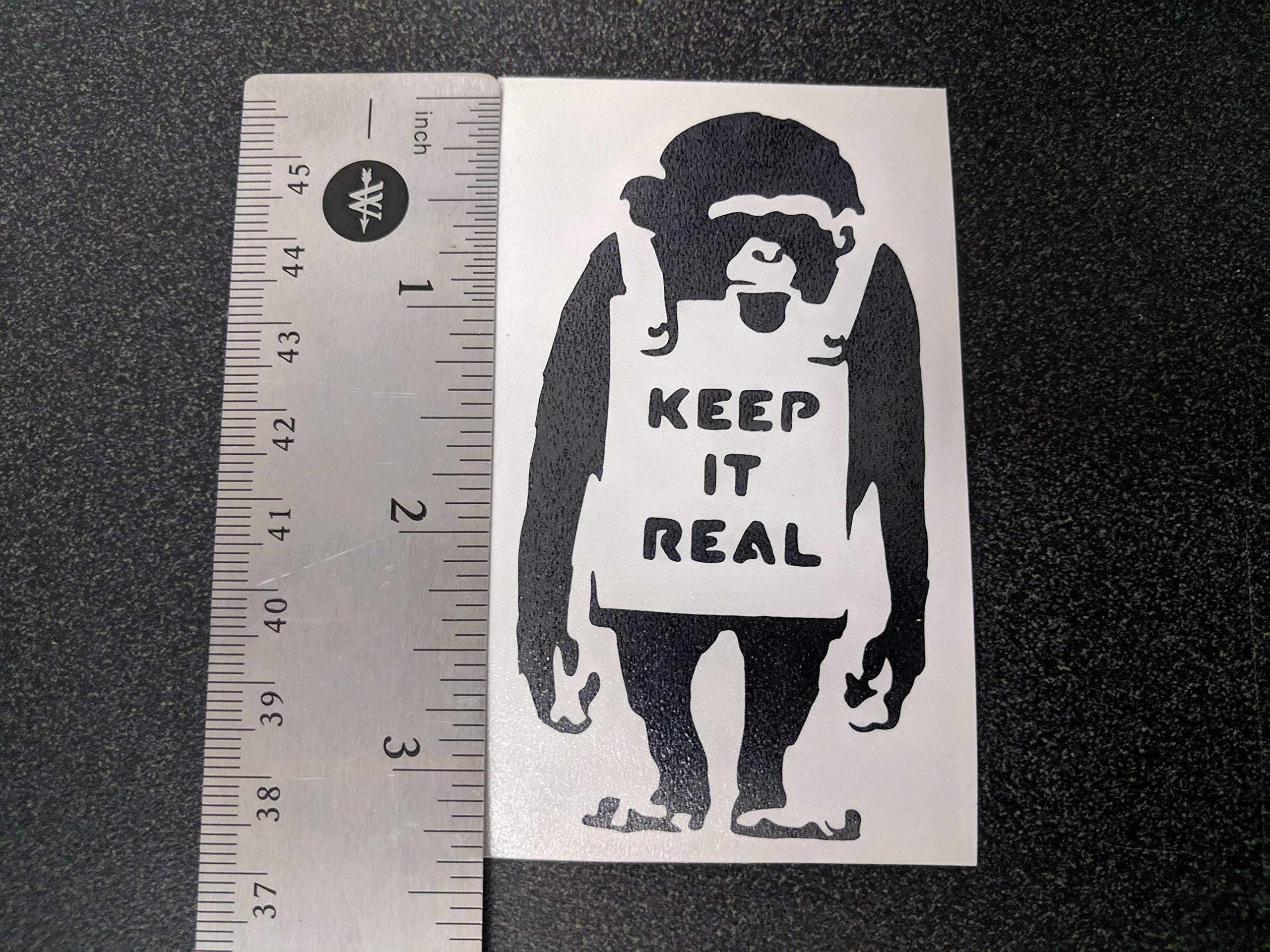 Amazon.com: Panda with Guns, Gangsta Rat, Keep it Real, Monkey