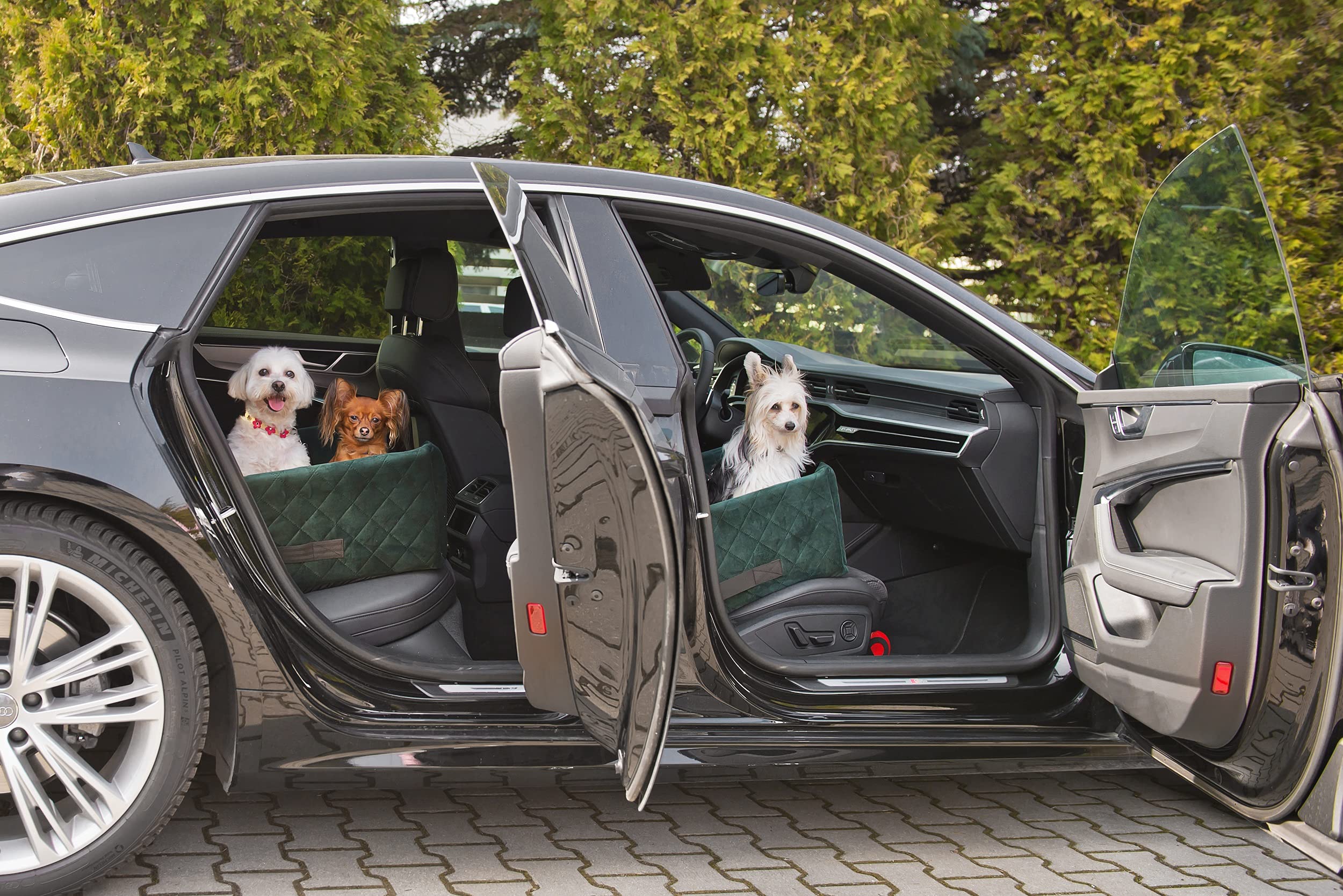 Exclusive Hunde Autositz | Autositz für Hunde, Katzen, Haustier | Rückbank, Beifahrersitz | Hundebett, Hundetasche | Wildlederimitat, Velvet | Farbe: Grün | Große: L (57x50 cm)