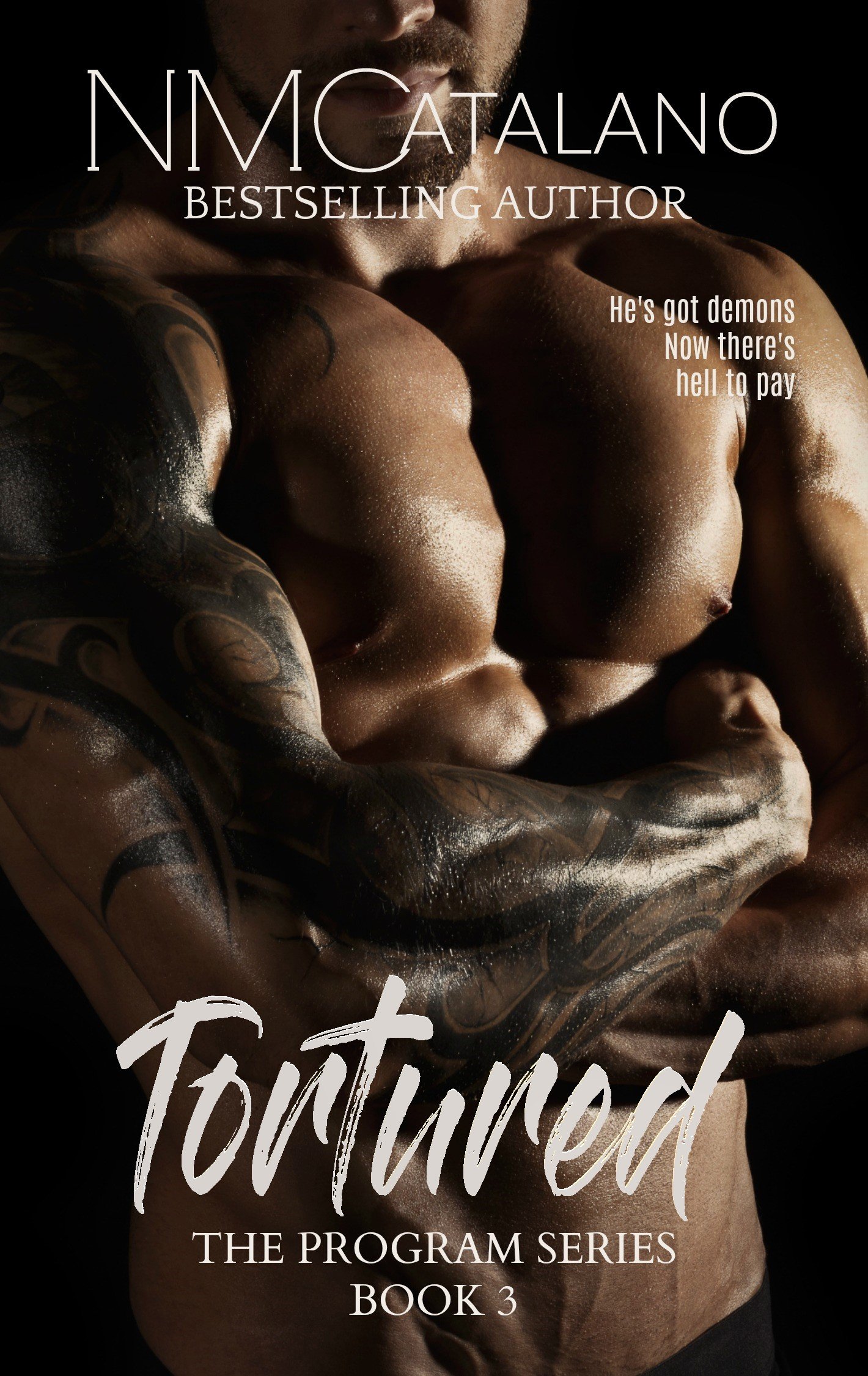 Tortured: The Program Book 3