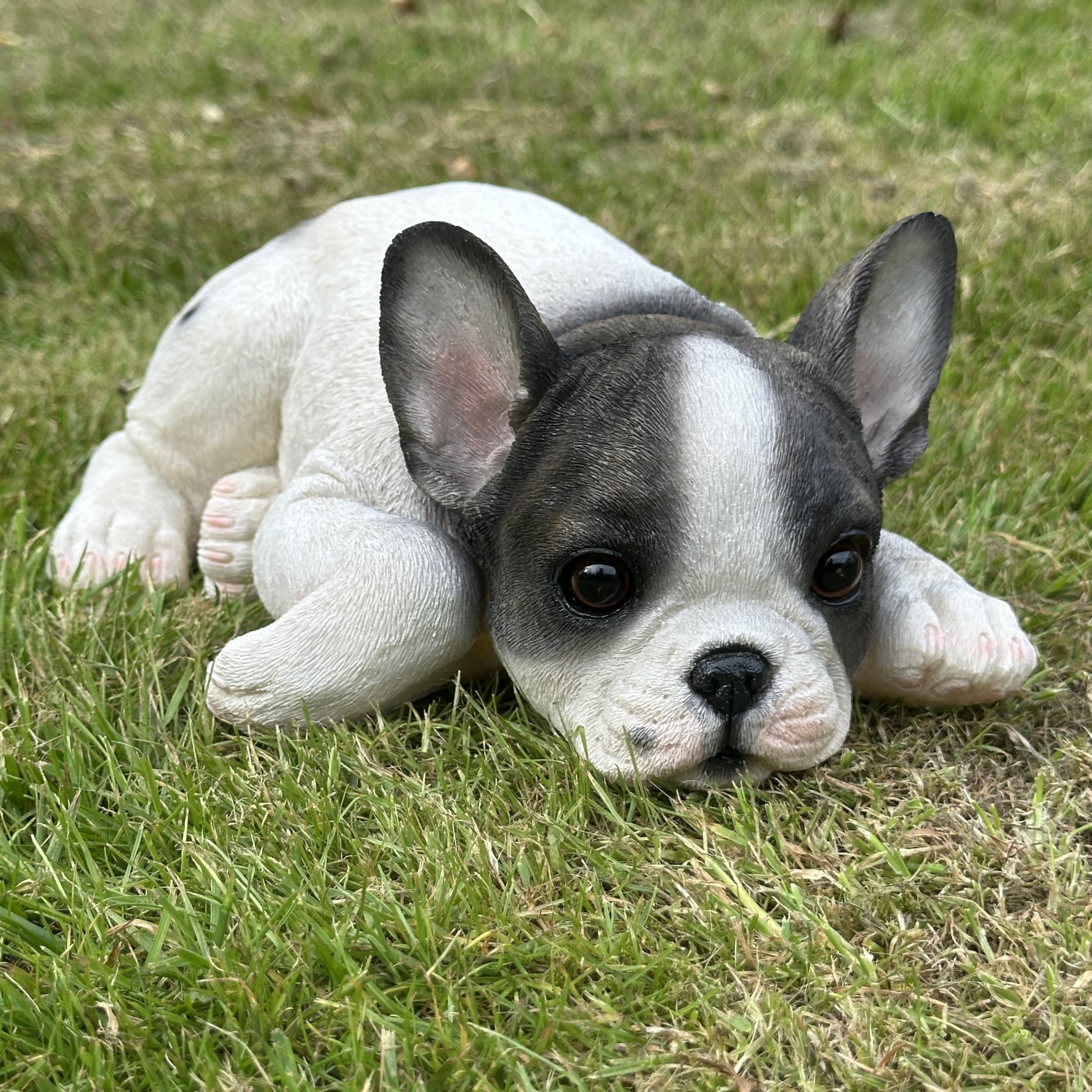 Realistic Black and White Laying French Bulldog Figurine - Weatherproof Resin - Indoor/Outdoor Decoration or Memorial - 26cm