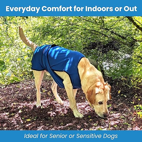 Miniatura 10 de DOGZSTUFF Chaleco refrescante para perros. Chaqueta ligera con tecnología de microfibra fría evaporativa, camisa de protección UV para la playa,