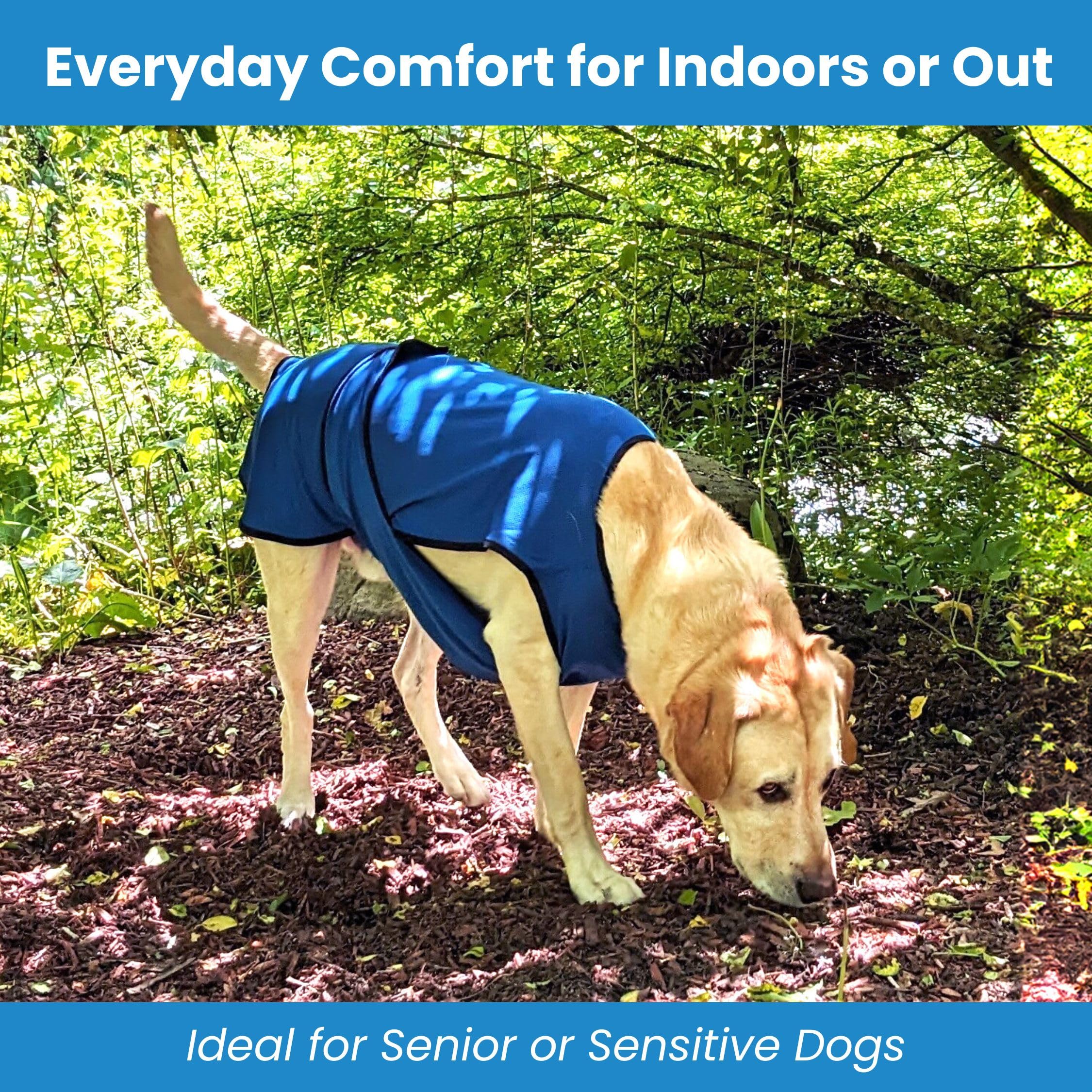 Gilet de Refroidissement pour Chien léger avec Technologie de Microfibre évaporative et Anti-UV, Taille pour Chiens Petits, Moyens et Grands, (M, Rose Rouge)