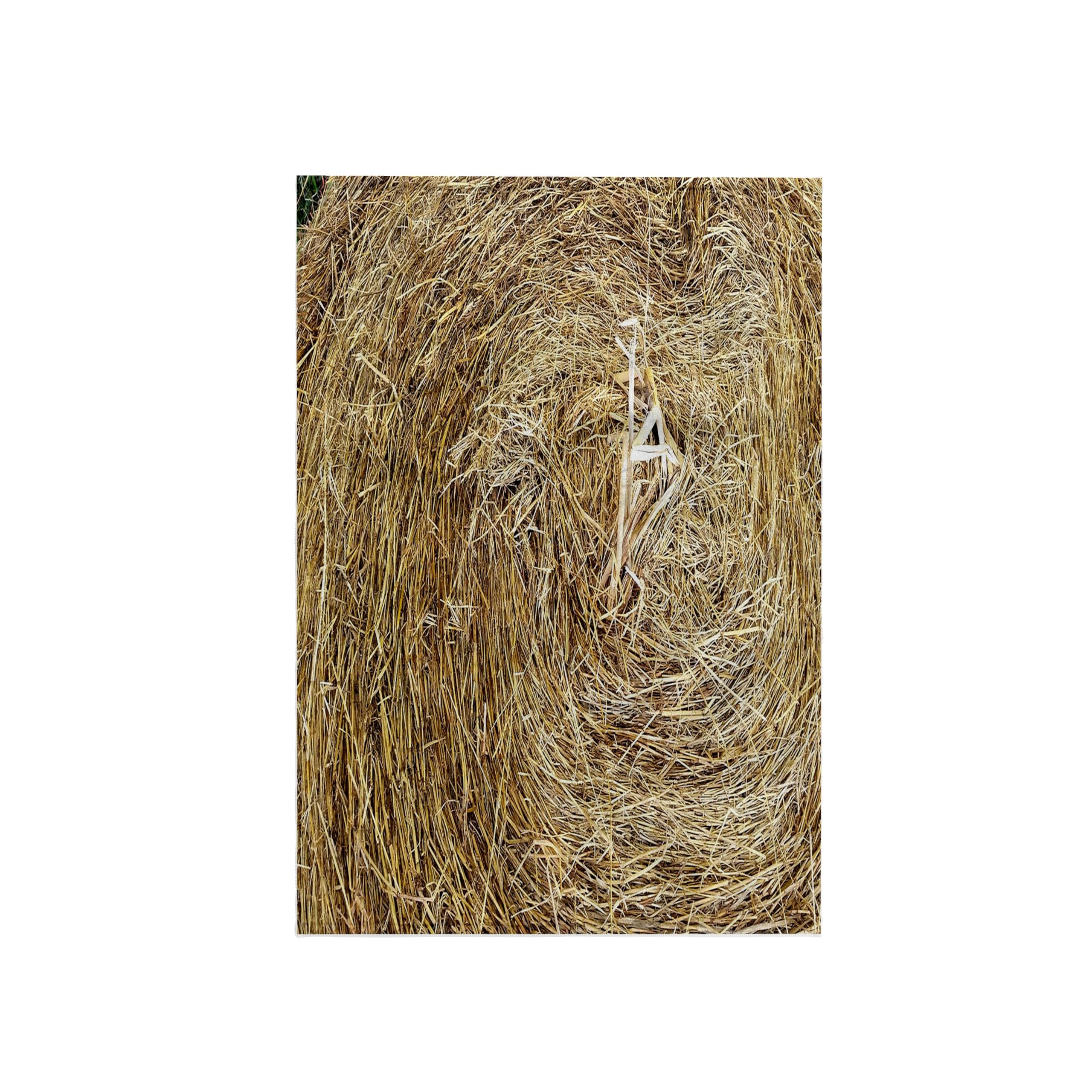 3dRose - Lens Art by Florene - Florida Fair - Image of Closeup of Natural Hay at Florida Fairgrounds - Towels (twl-309468-1)