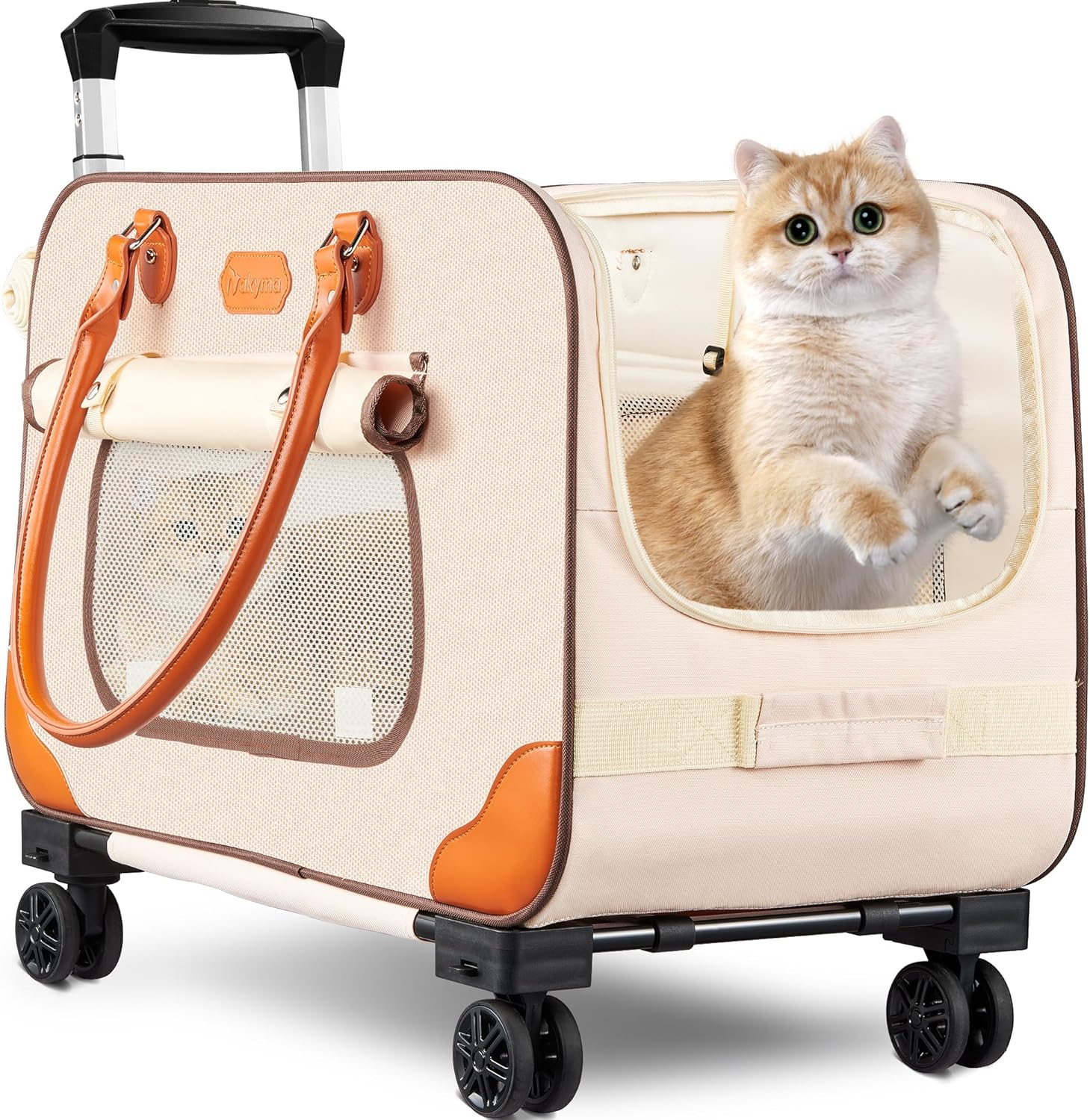 Large cat carrier allsided mesh cat carrier with great ventilation softsided extra large pet carrier suit for 2 cats car travel 24 16 16in