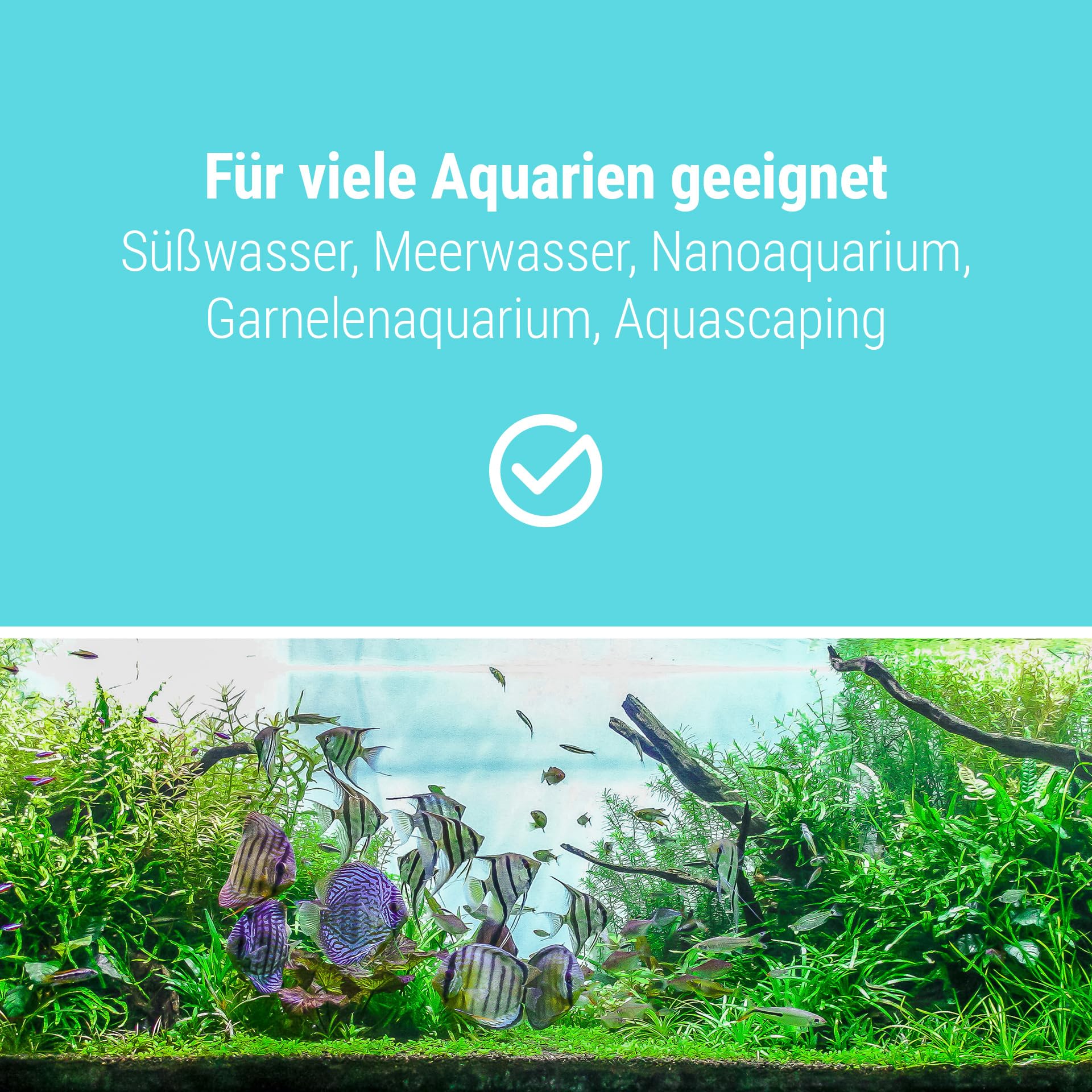 Schicker Mineral Aquariumkies schwarz 25 kg, feiner Quarzkies mit Epoxidharz ummantelt, kantengerundeter Bodengrund, farbecht, Kies für Süßwasseraquarien & Meerwasseraquarien (2,0-3,0 mm)