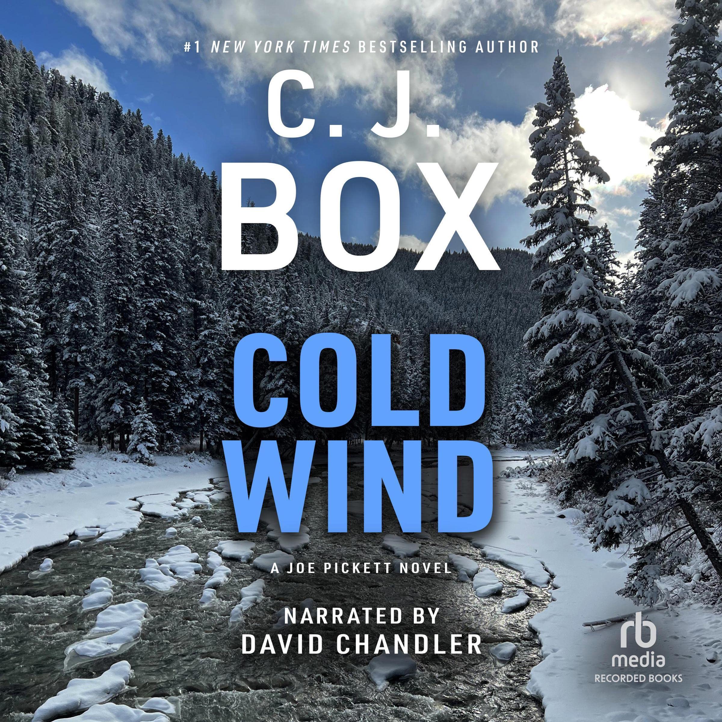Cover art for Cold Wind