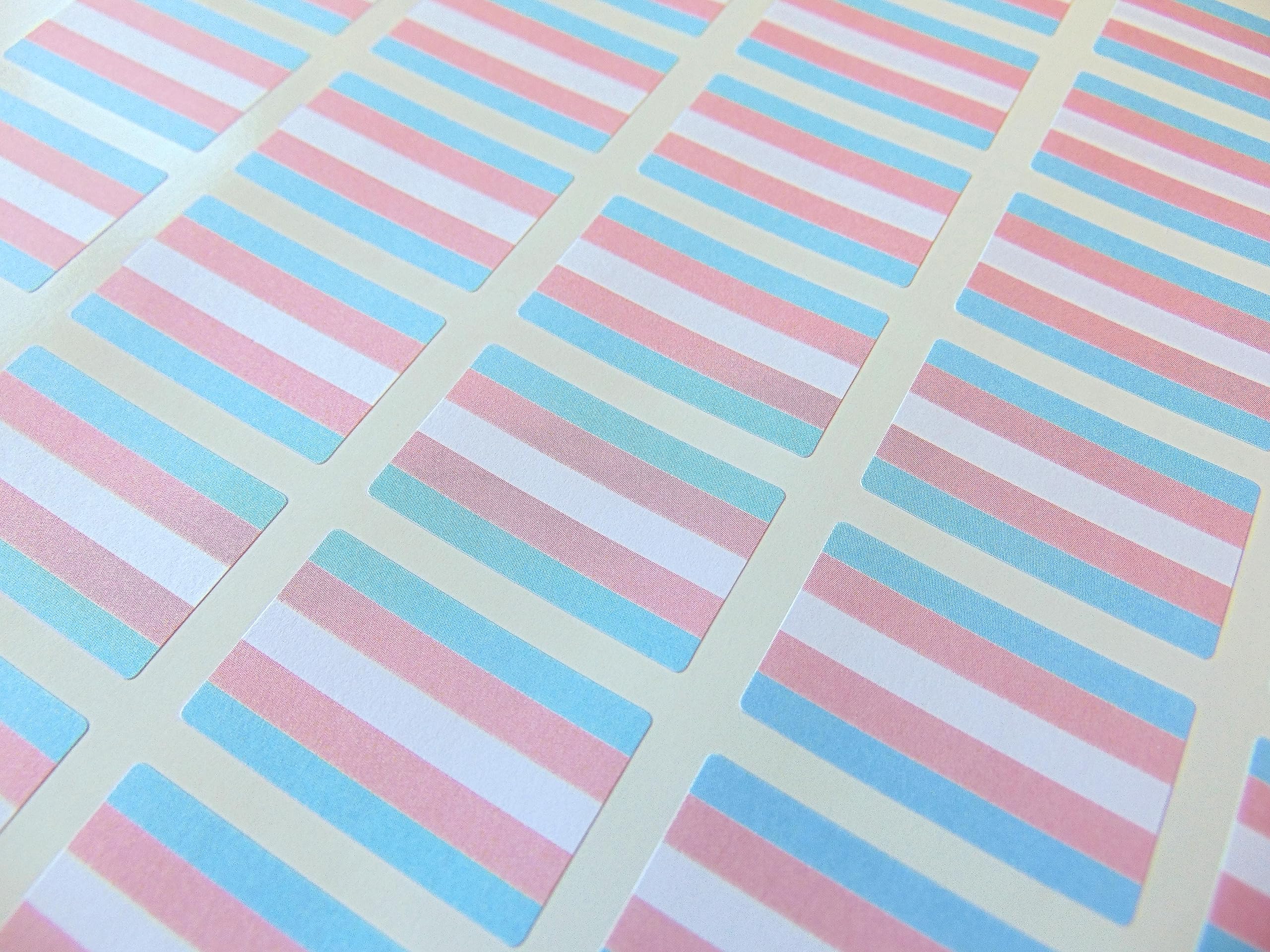 Pack of 60 Small 33x20mm Transgender Pride Rainbow LGBT Flag Stickers, Sticky Labels