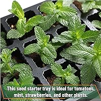 Vista 6 de Mr. Pen - Kits de bandejas de inicio de semillas, juego de 5, total de 200 celdas, bandejas duraderas para germinación de plantas con cúpulas
