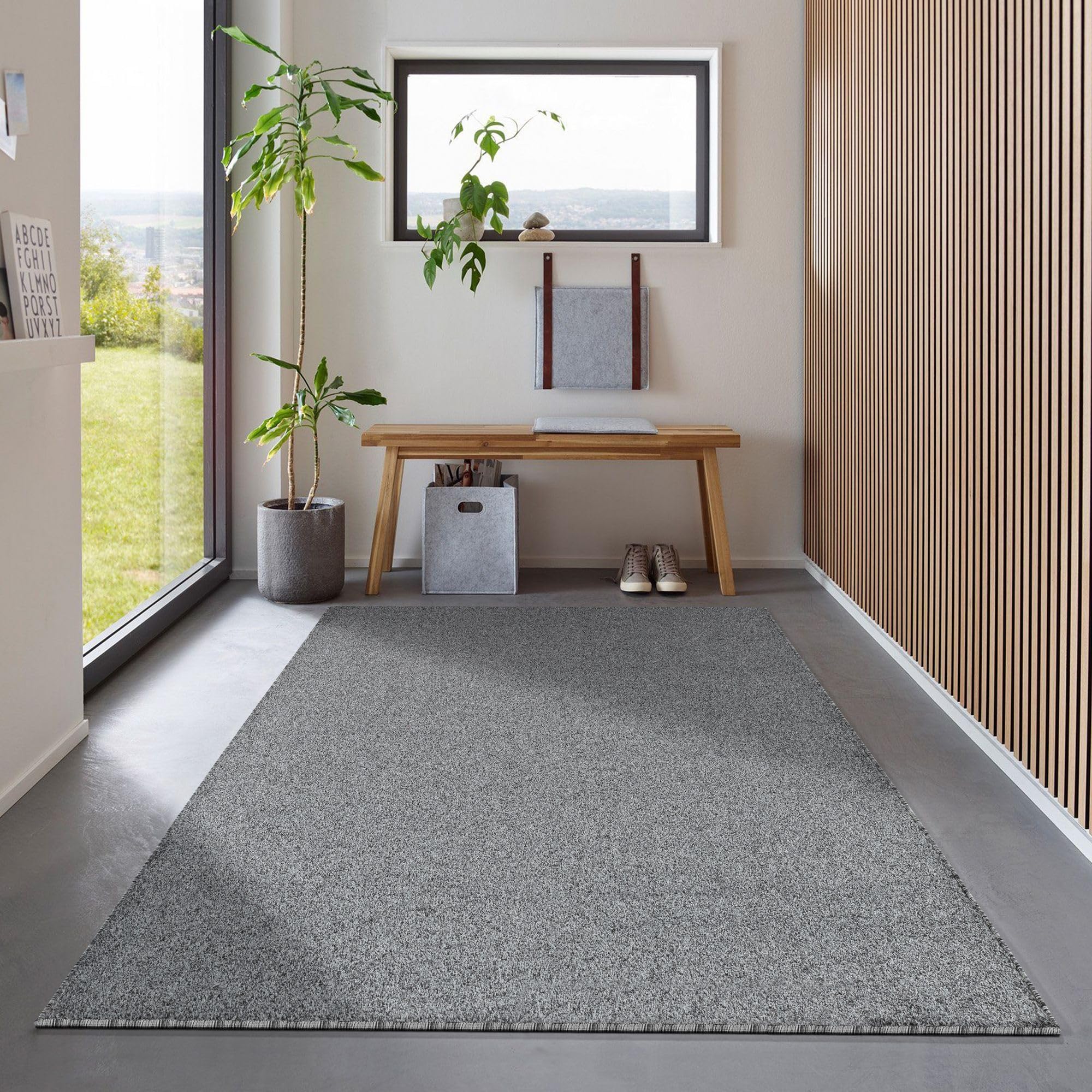Carpetsale24 Alfombra de salón, Color Gris Alfombra Moderna para habitación Infantil, Dormitorio, Oficina, Pasillo y Cocina Alfombra 160 x 230 cm