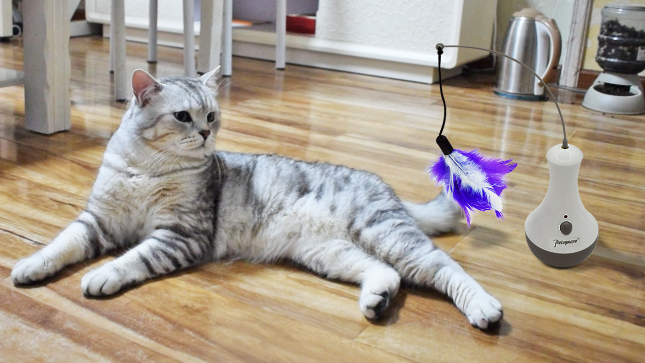 TOPETZON Interactive Cat Toys for Indoor Cat Feather Toys,Automatic Pet Exercise Toys,Electronic Motion/Moving Tumbler… - Image 7
