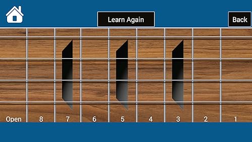 Bass Guitar