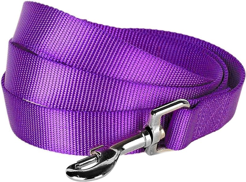 Blueberry Pet Essentials Correa para perros Dark Orchid para perros medianos - 5' * 3/4" | Correa de nailon resistente | Correa liviana para cachorros y gatos para caminar y entrenar