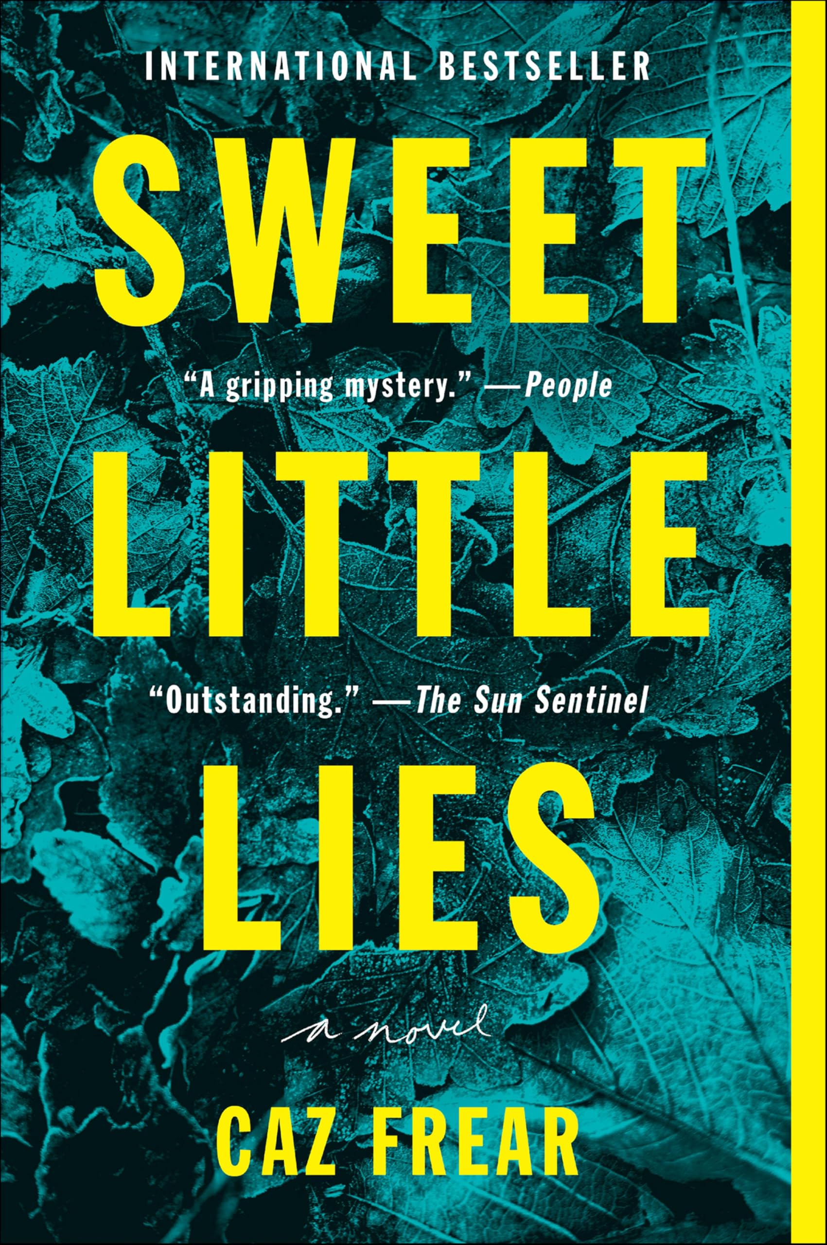 Sweet Little Lies: A Suspenseful Mystery (The Cat Kinsella Novels Book 1)