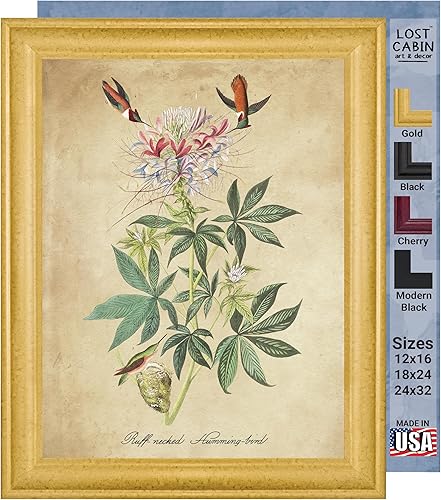 Vista 105 de Towee Bunting by James Audubon - Marco biselado negro de 12 x 16 pulgadas, decoración artística enmarcada para pared, reproducción de pinturas