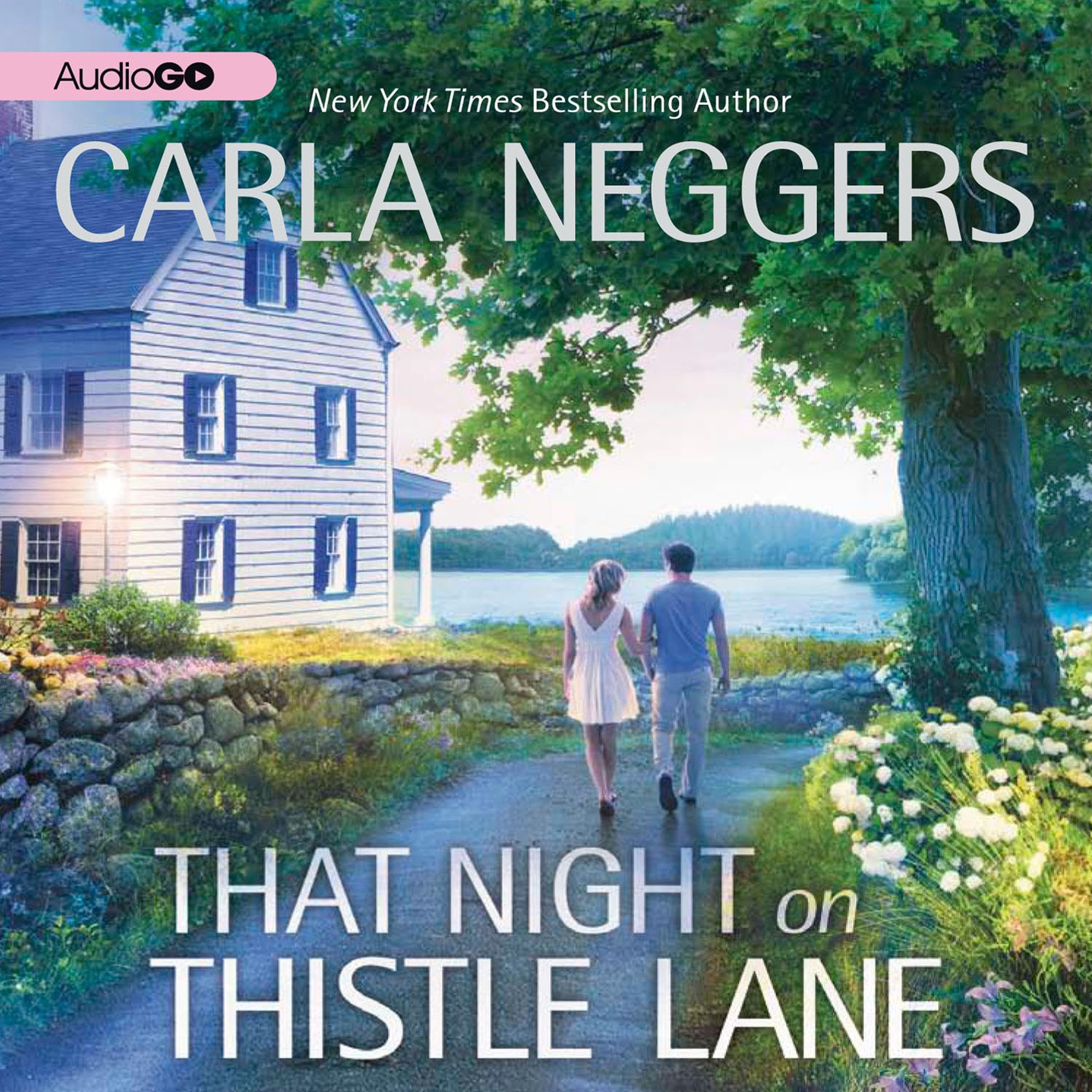 Cover art for That Night on Thistle Lane