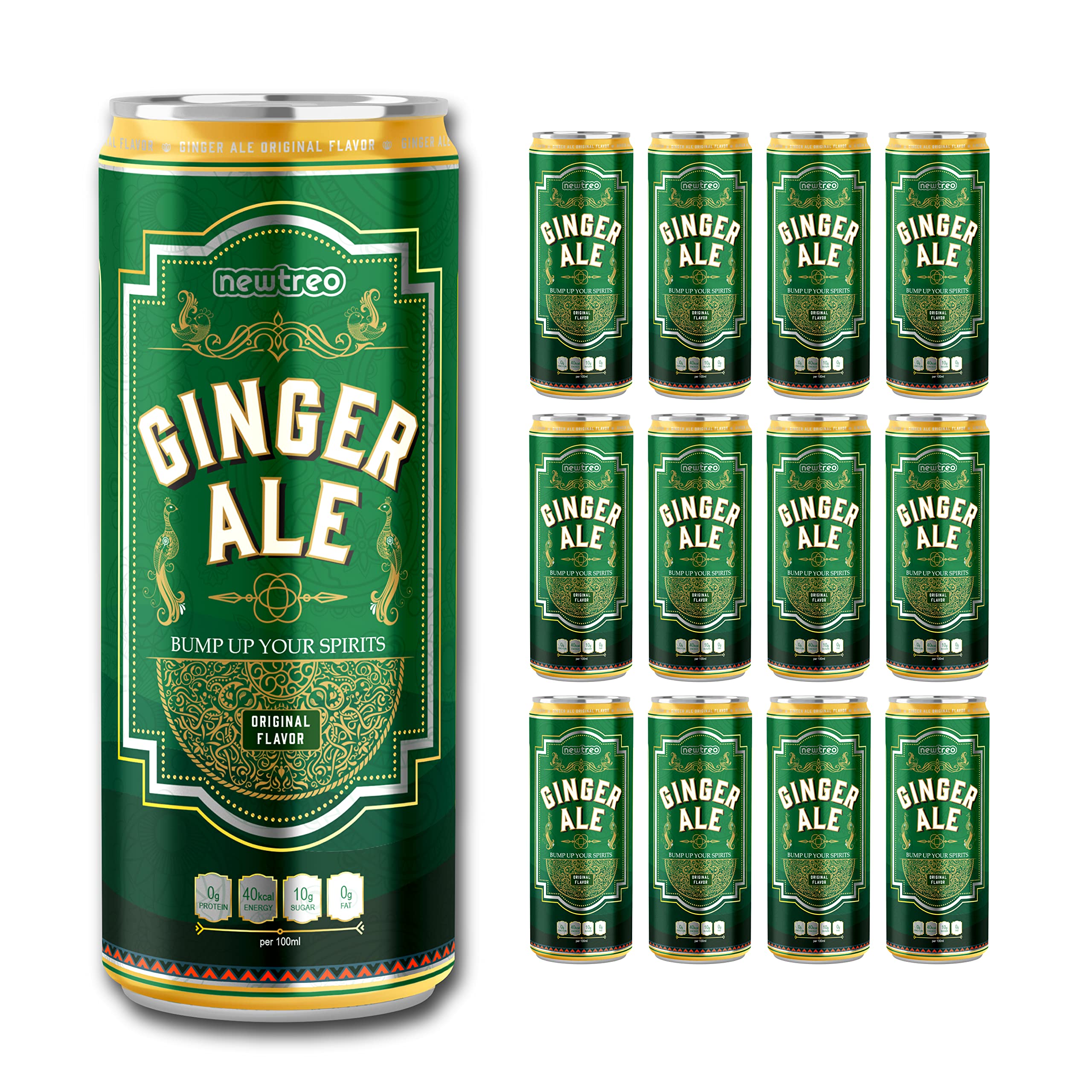 Buy Newtreo Ginger Ale Premium Ginger Ale Natural Ginger & Lemon