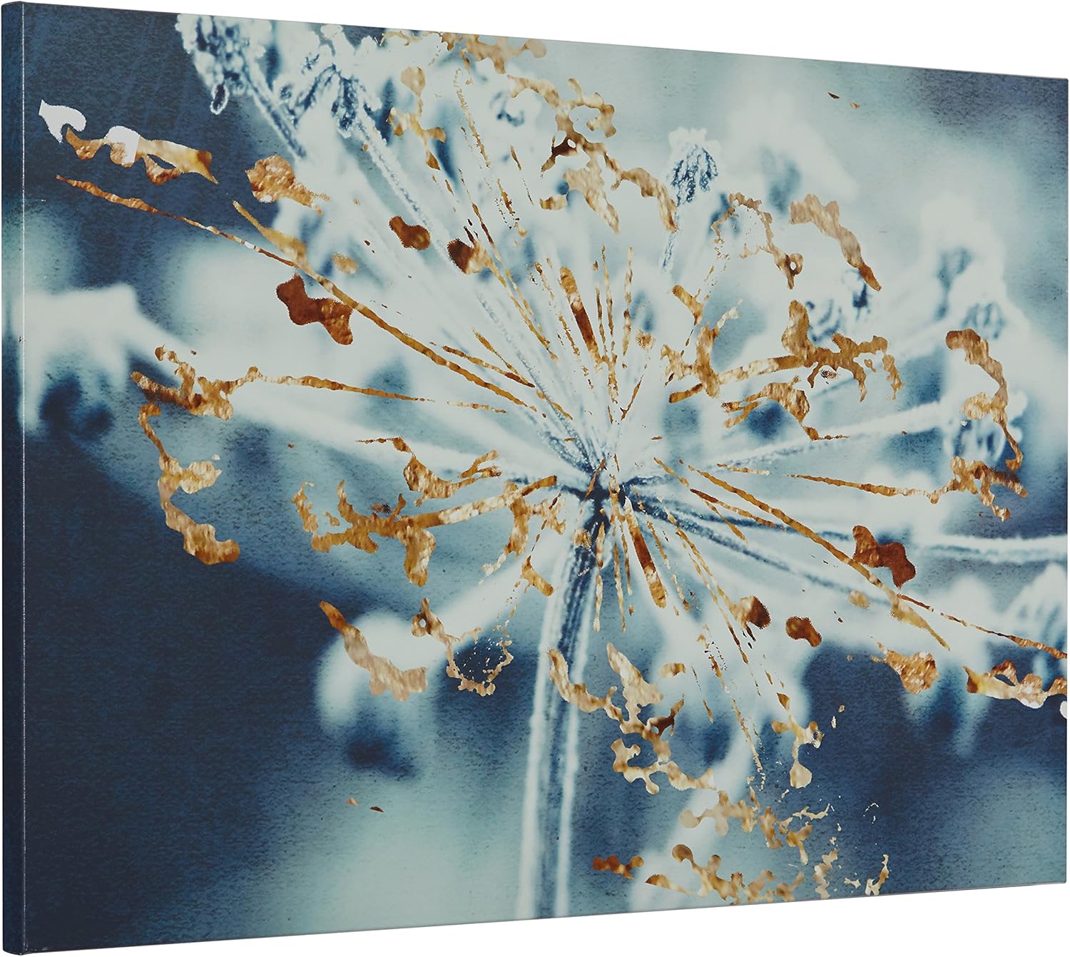 Blасk Frіdау Sаlе 2022 Amazon Brand – Rivet Turquoise Blue and Gold Metallic Flower Duotone Photo Print Wall Art, 36 x 24 Buу 1 gеt 1 Amazon Brand – Rivet Turquoise Blue and Gold Metallic Flower Duotone Photo Print Wall Art, 36 x 24