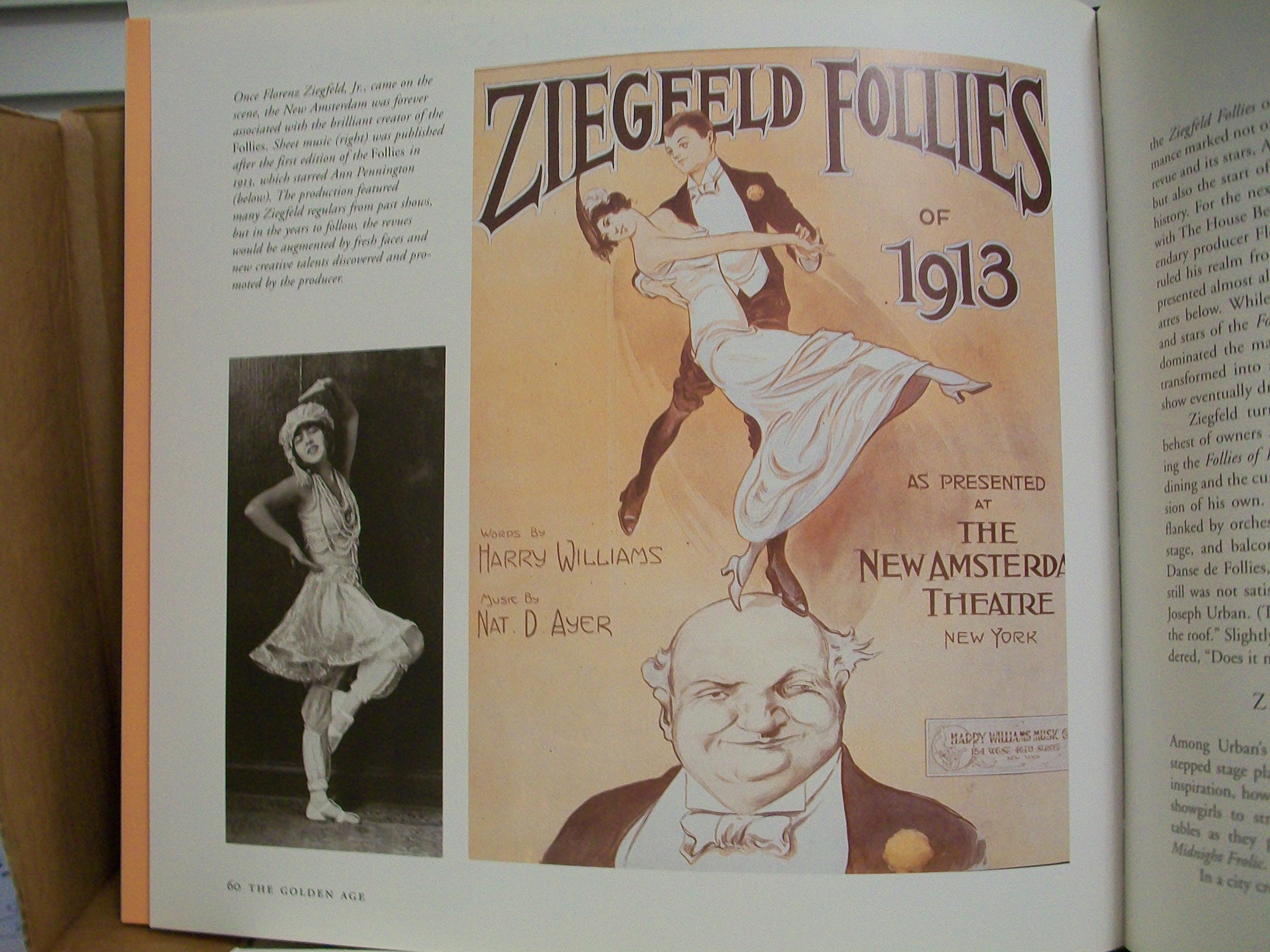 The New Amsterdam : The Biography of a Broadway Theater