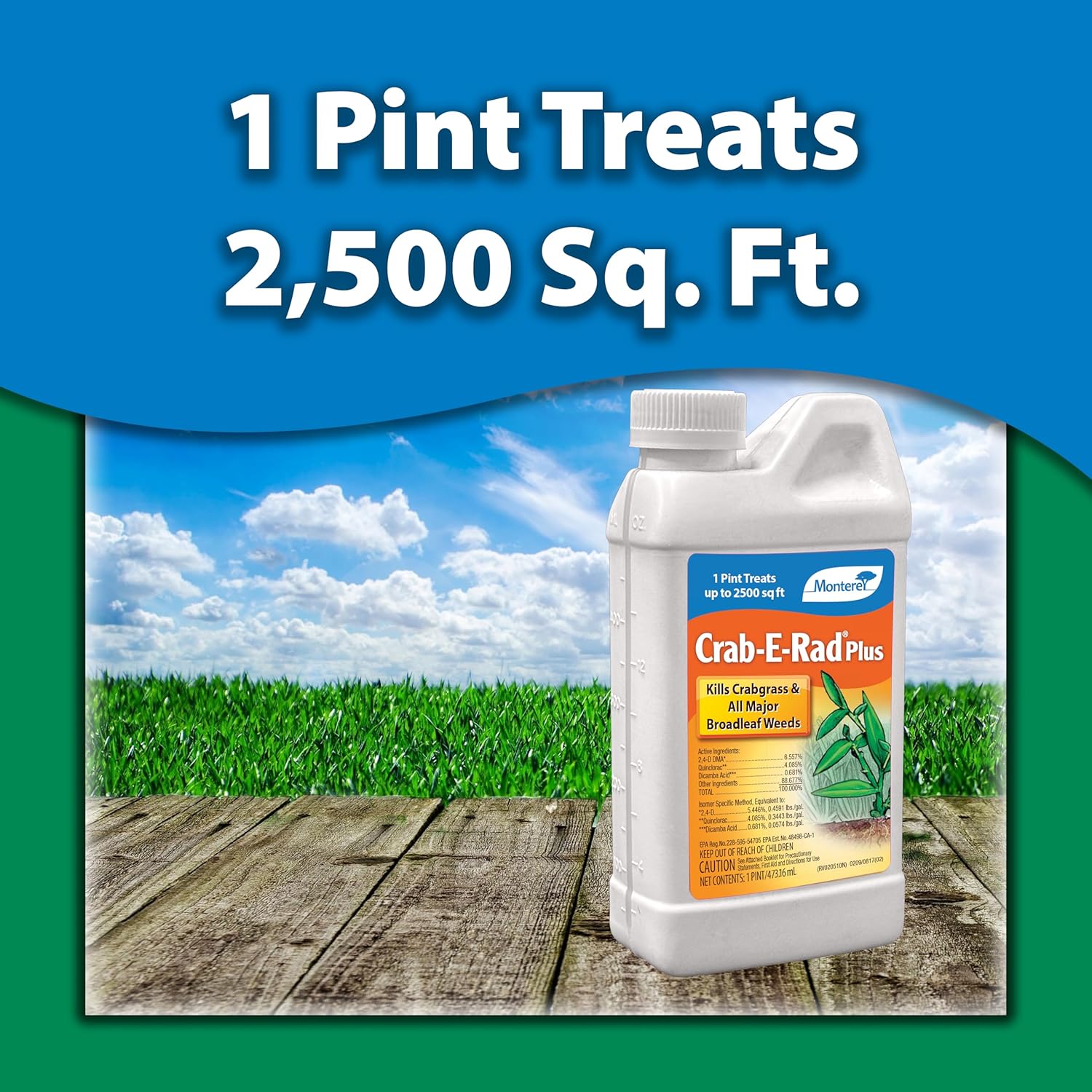 Monterey Crab-E-Rad Plus Bundled with Garden Measure Spoon - Effective Weed Control for Residential & Ornamental Turfgrass - Kills Crabgrass, Dandelion, Clover, Wild Onion, and More - 16 oz Bottle