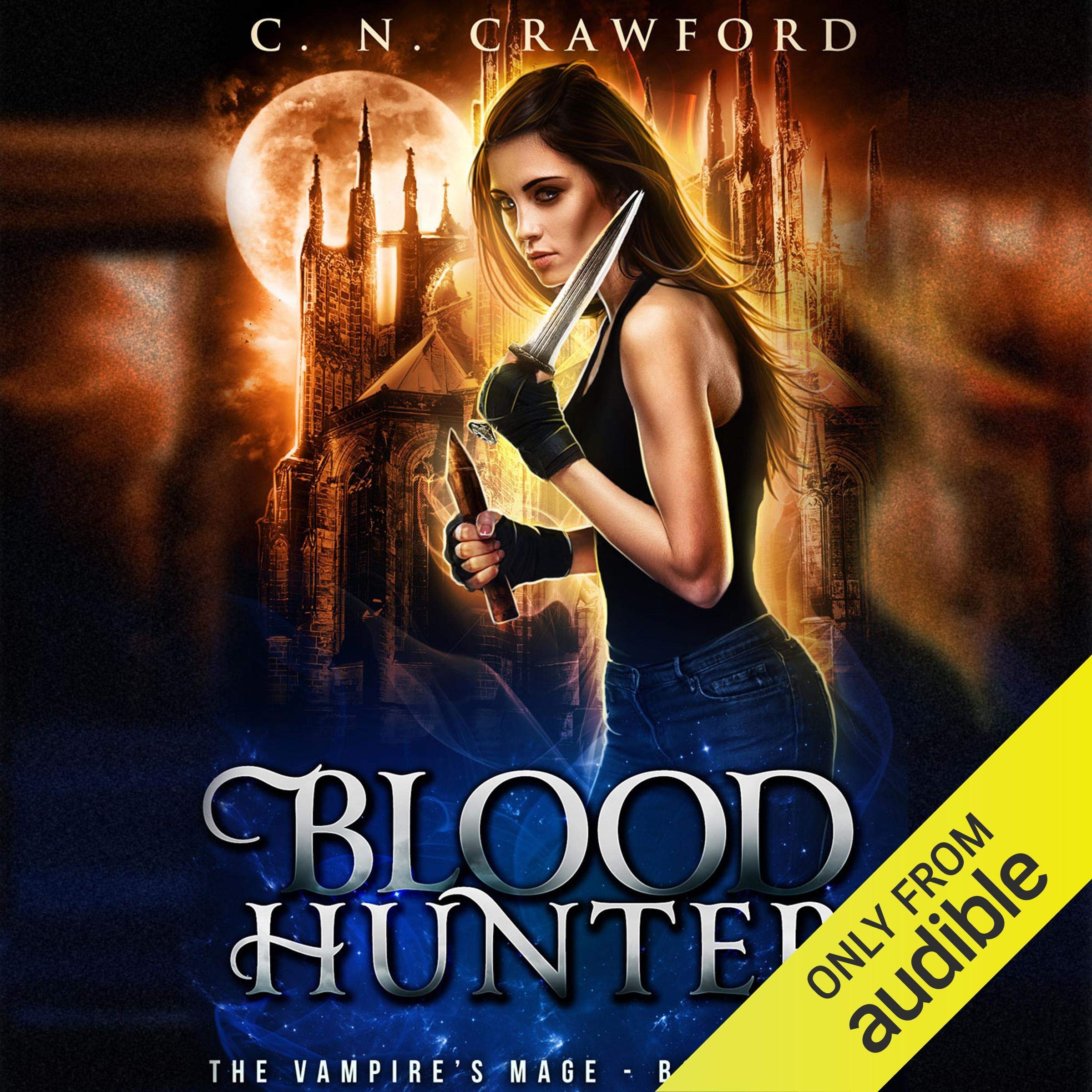 Cover art for Blood Hunter