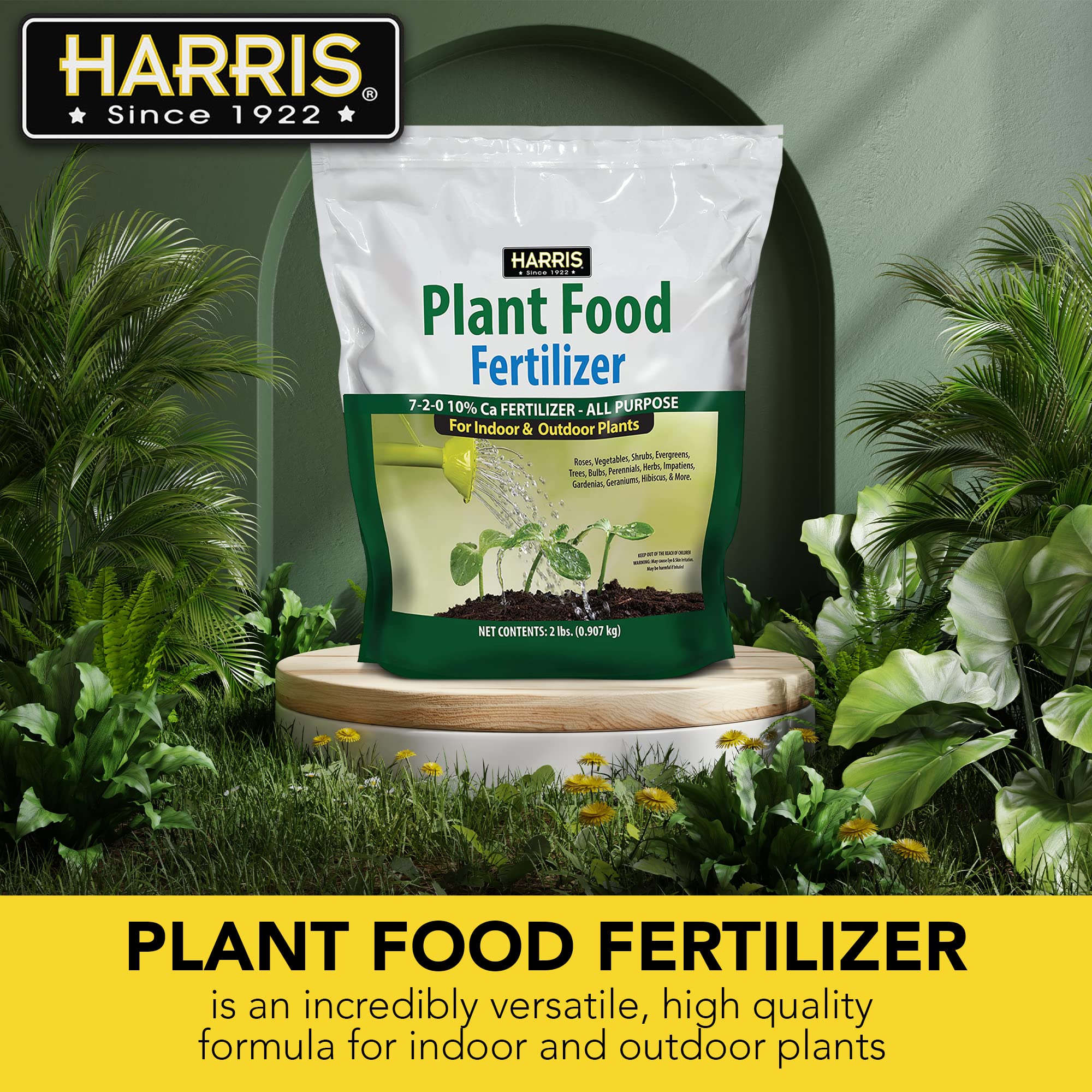 Abono Para Palmeras 1KG - Efecto Revitalizante Inmediato (Hasta 500L)