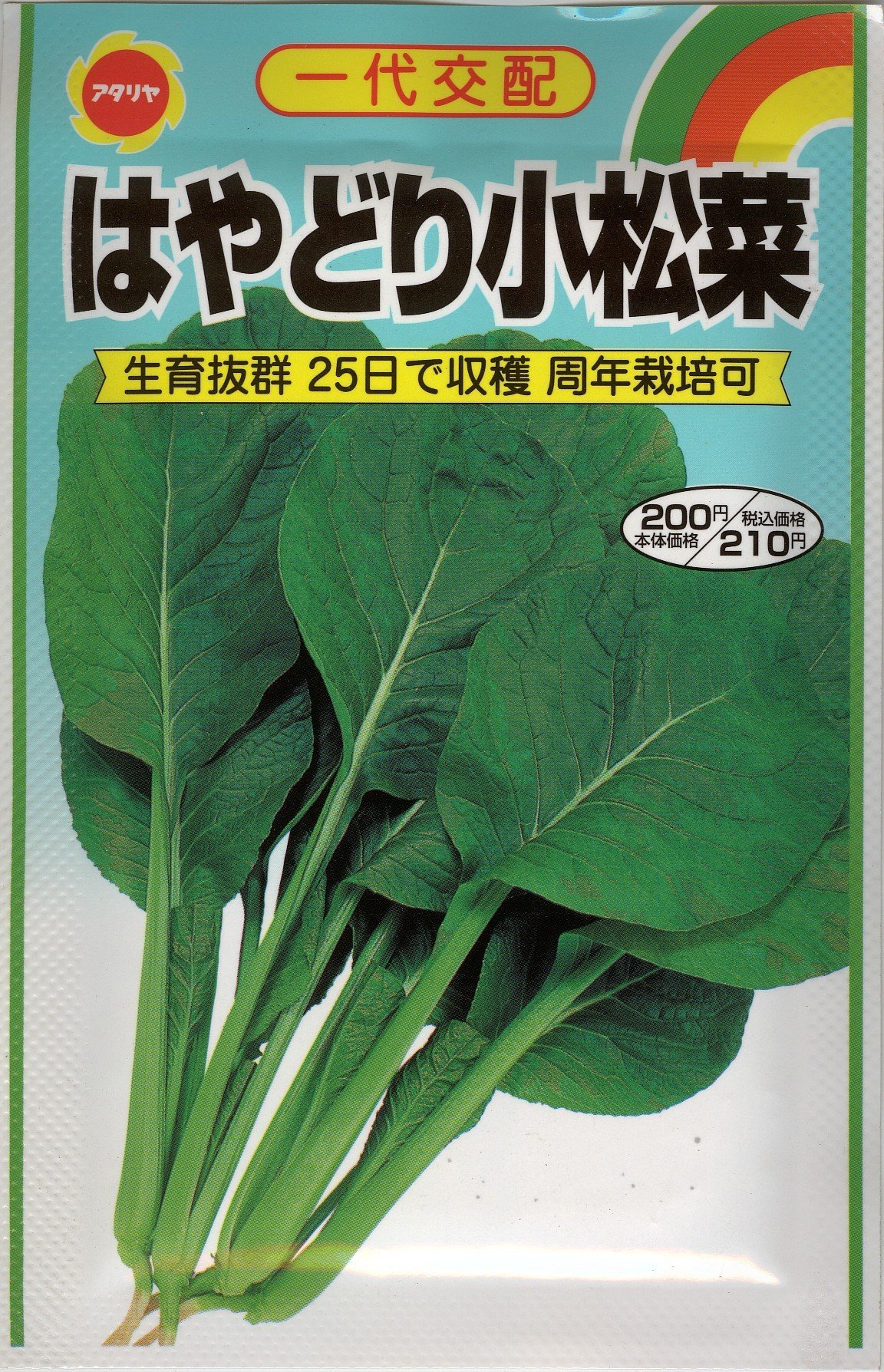 Amazon | アタリヤ農園 種 F1 はやどり小松菜 6ml | 野菜