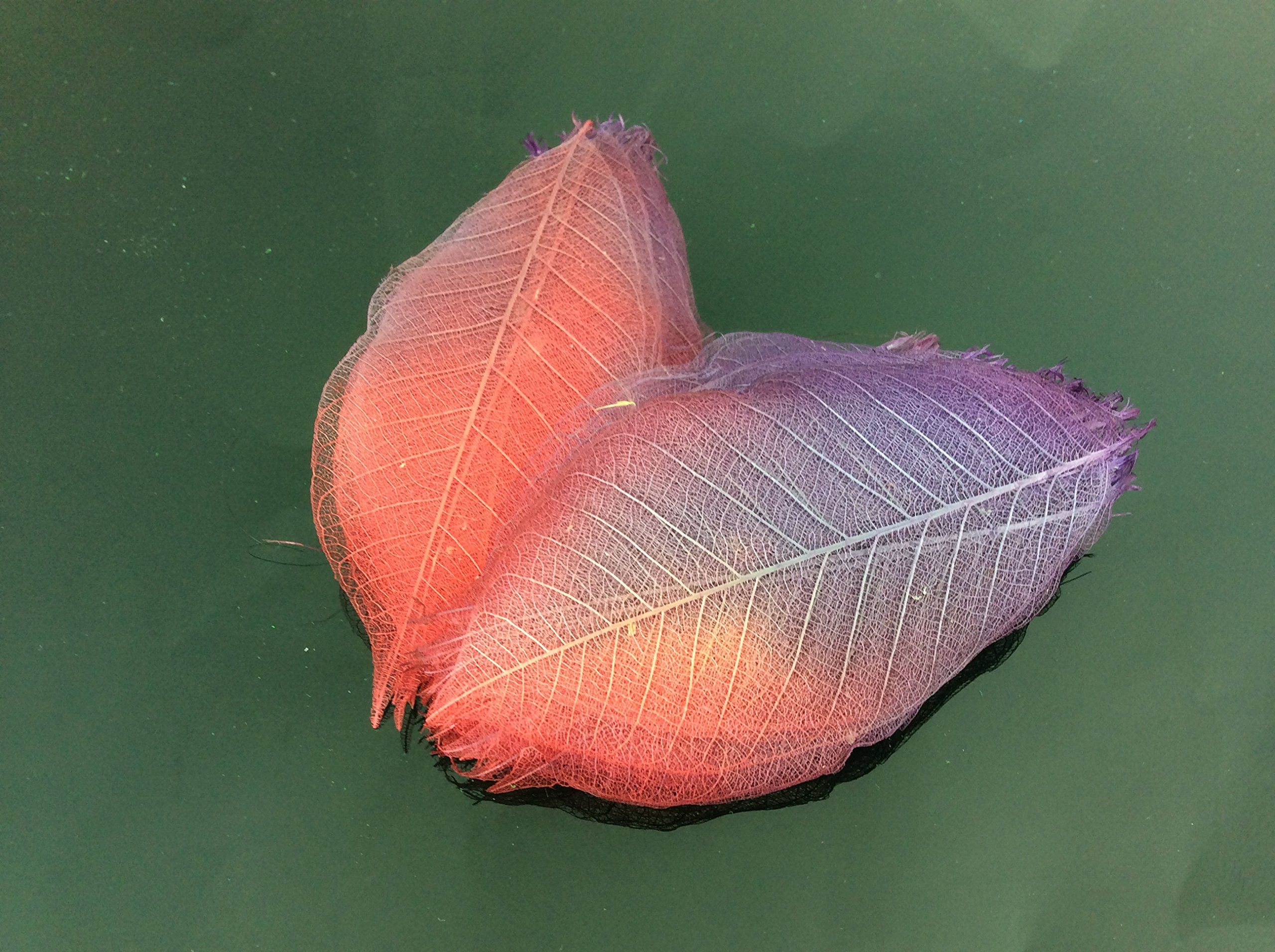 Red Purple Skeleton Small Leaves 3 Inch Natural Color Flower Making Natural Rubber Leaves