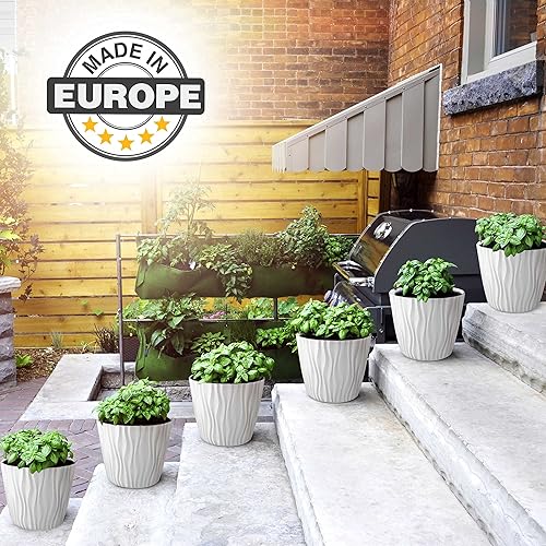 Miniatura 6 de Mueller - Juego de macetas 61 para plantas y flores, uso rudo de 6 pulgadas, elegante fabricación europea, para uso en interiores y exteriores, para