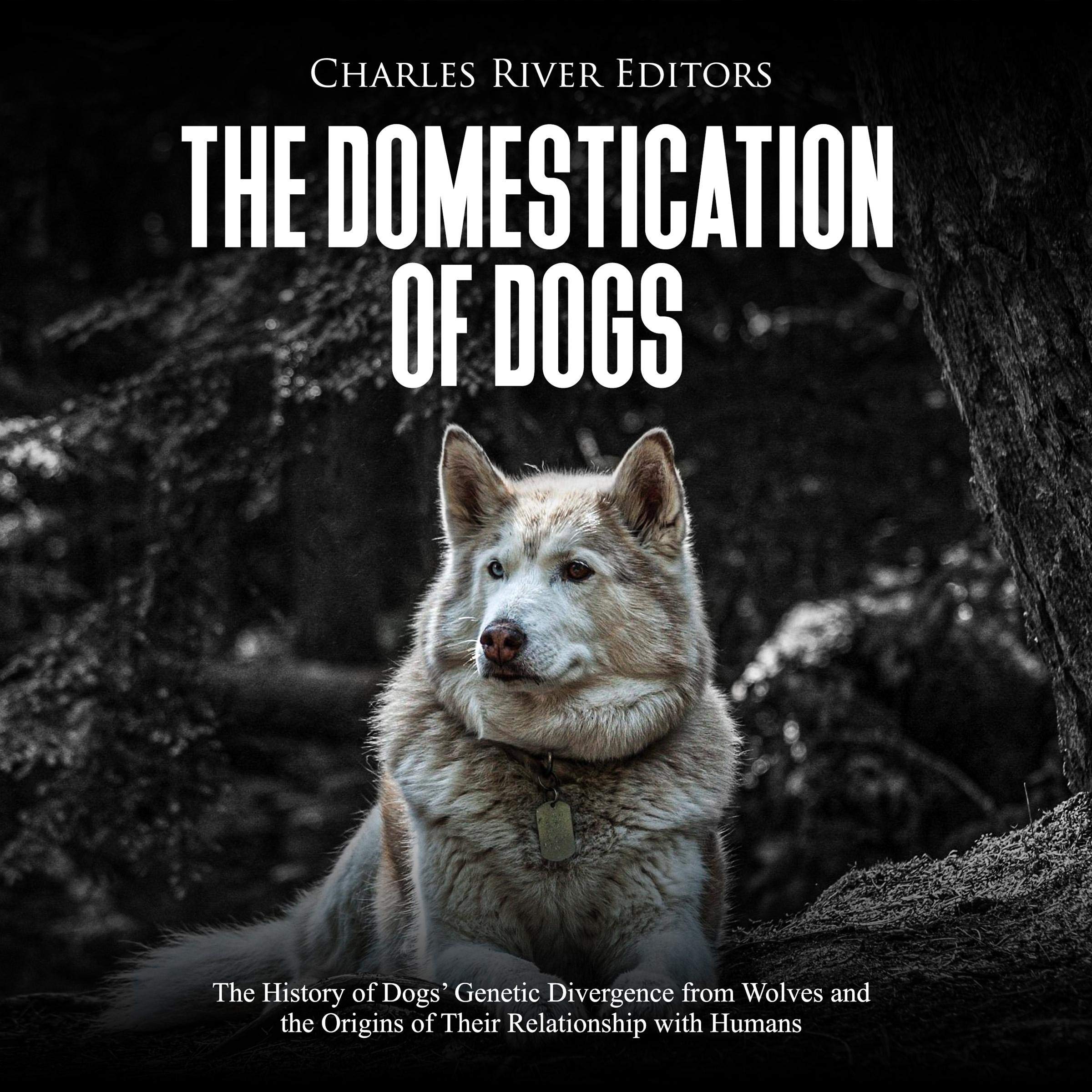 Cover art for The Domestication of Dogs