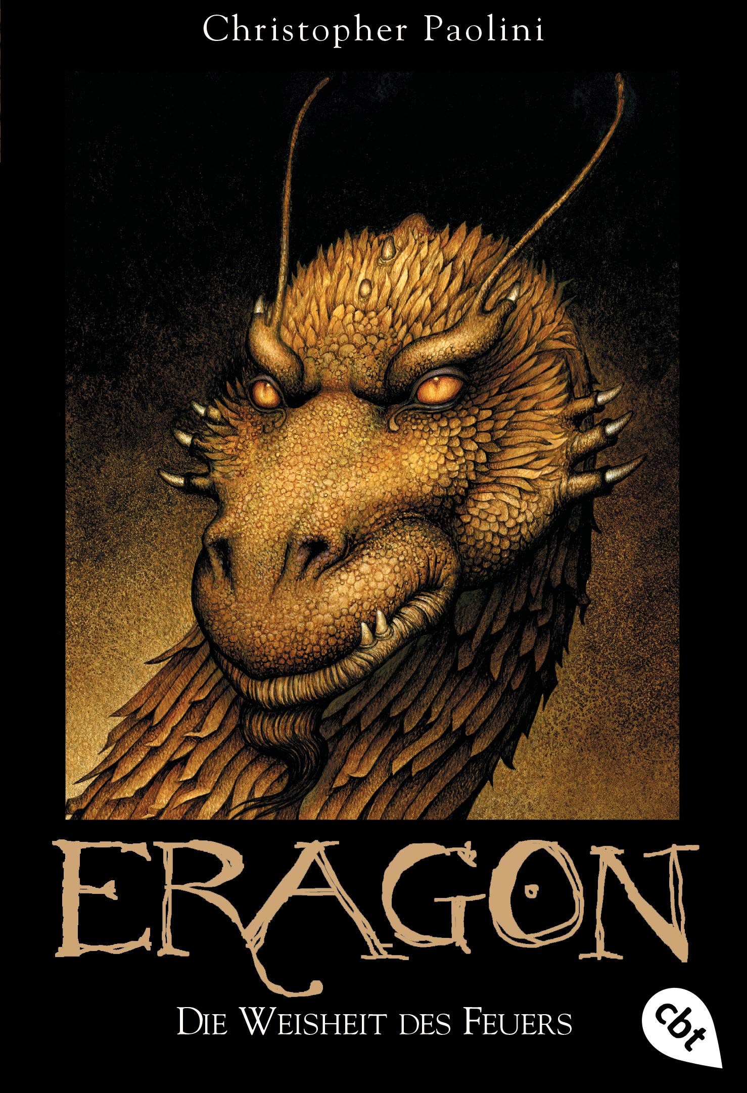Die Weisheit des Feuers: Der dritte Band der Weltbestseller-High-Fantasy-Saga