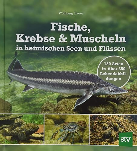 Fische, Krebse &amp; Muscheln in heimischen Seen und Flüssen: 120 Arten in über 350 Lebendabbildungen