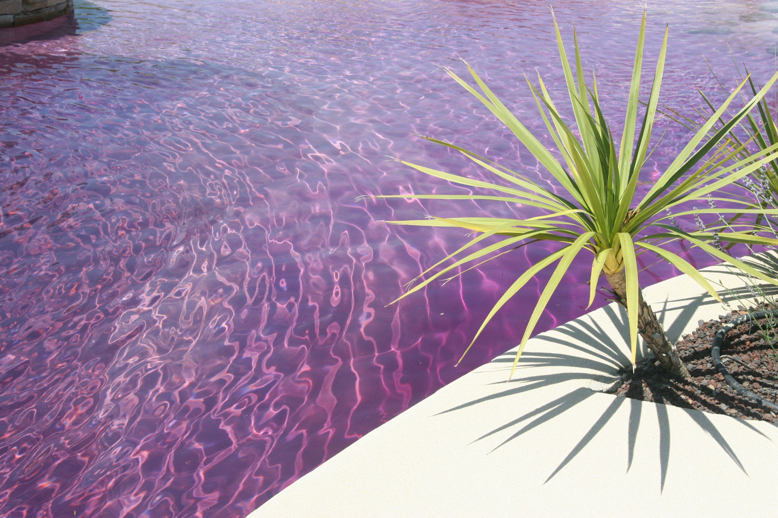 Colorant éphémère pour piscine Aquacouleur Lavande