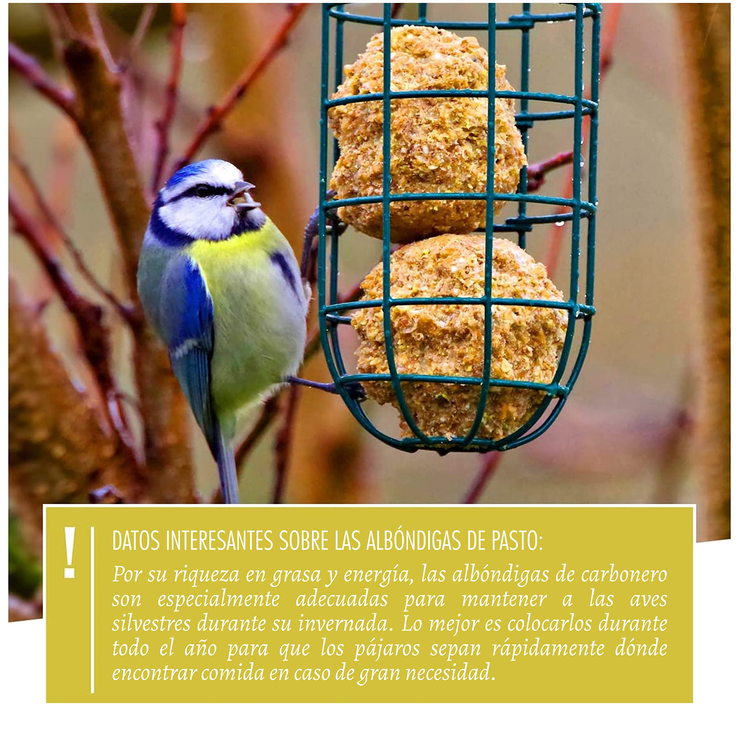 Wildtier Herz Comedero para pájaros (31cm) de Metal Inoxidable, Jaula de alimento para Aves Silvestres, Dispensador de Bolas de Grasa, Proporciónale alimento Todo el año para Las Aves de tu jardín — view 4