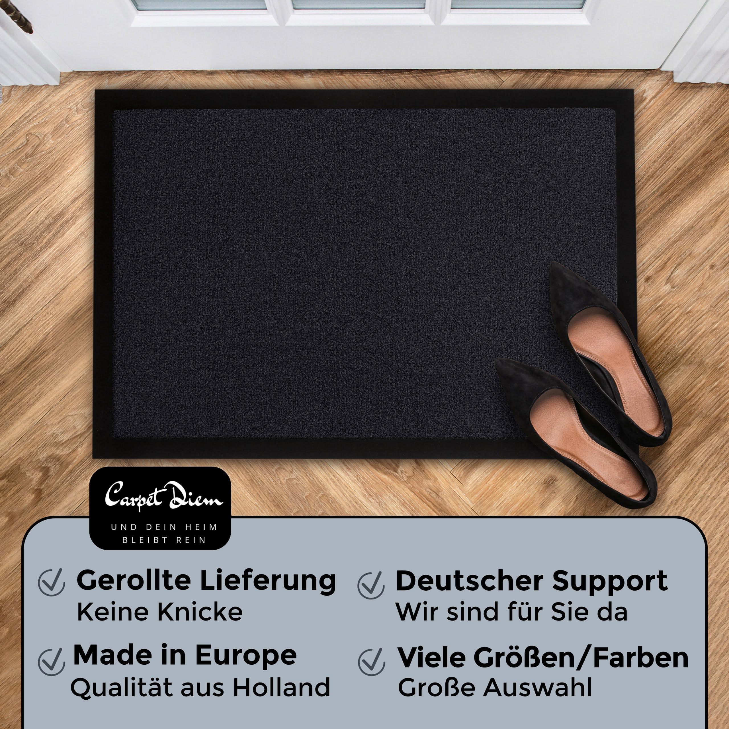 Carpet Diem Fußmatte, einfach sauber I Schmutzfangmatte Eingangsbereich - Fussmatte Innen & Außen, rutschfeste Türmatte, Schm - 5