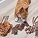 Gnaw Box – Nature Gnaws Dog Chew Treats - Subscription Box: Large Dog GnawBox