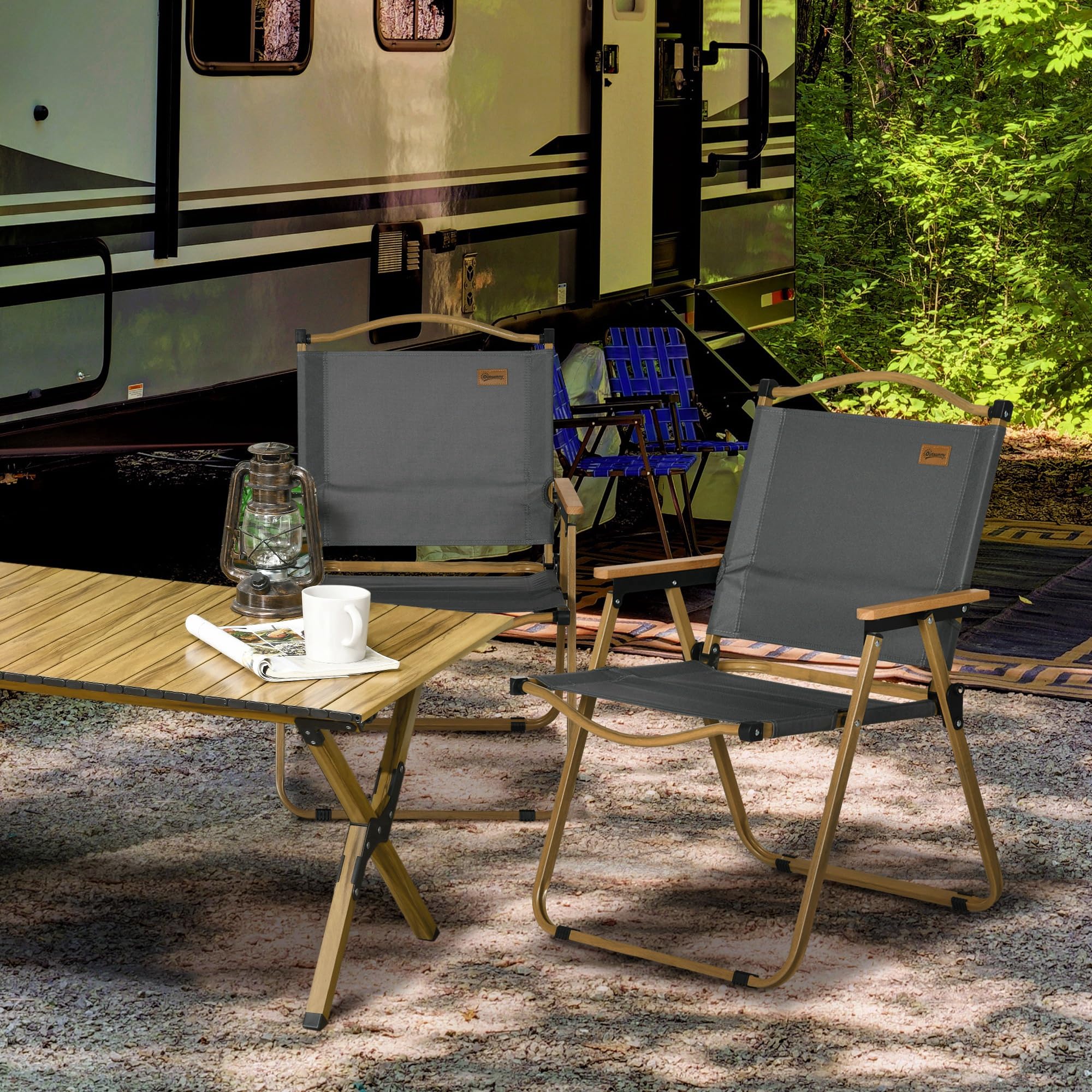 Outsunny Lot de 2 chaises de Camping Chaise de pêche Pliante - Tissu Oxford et Structure Acier - 54 x 59 x 78 cm - Gris foncé
