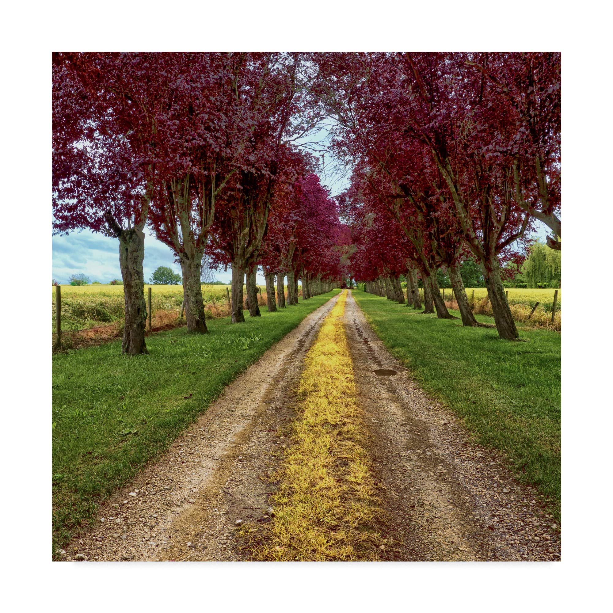 Trademark Fine Art Approach by Colby Chester, 14x14-Inch