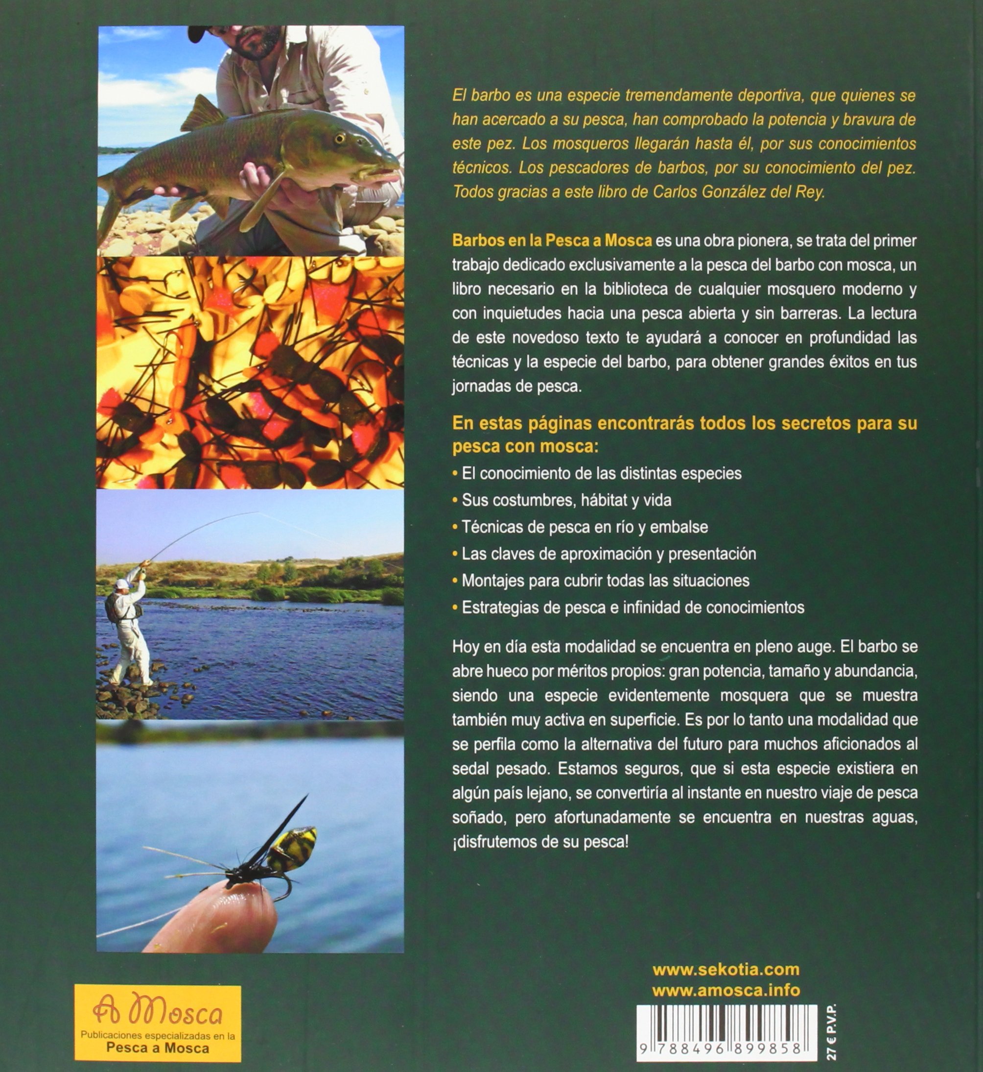 Barbos En La Pesca A Mosca