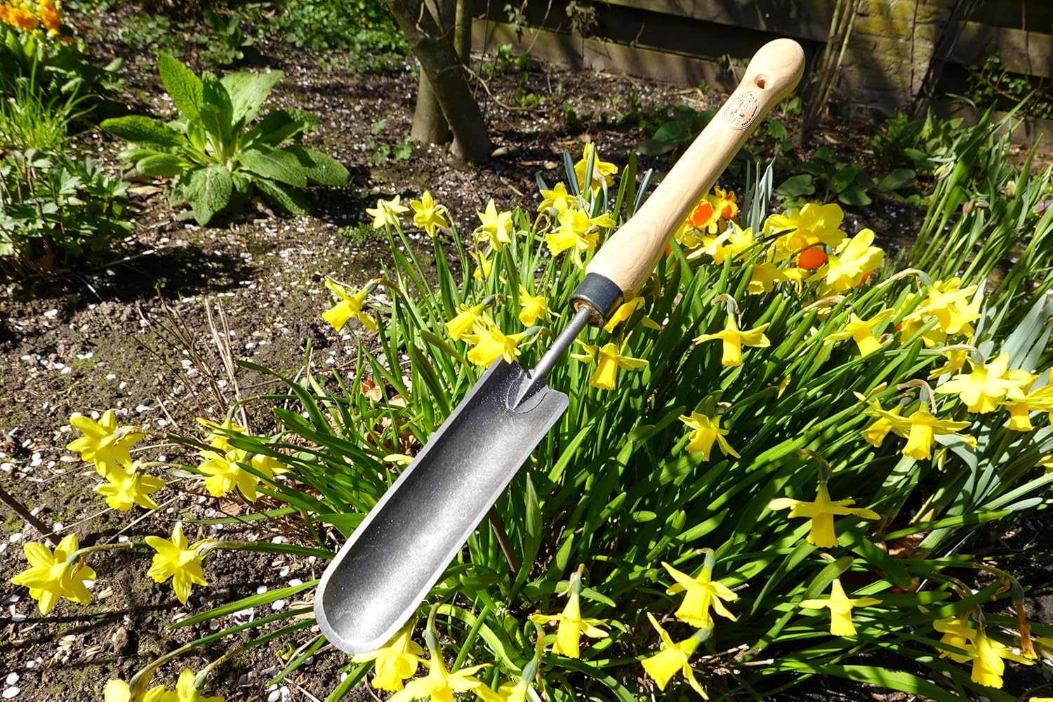 Dewit Rock-N-Root Trowel – Mid-Size Handle Heavy-Duty Garden Hand Tool with Hardened Boron Steel Blade & Ash Hardwood Handle