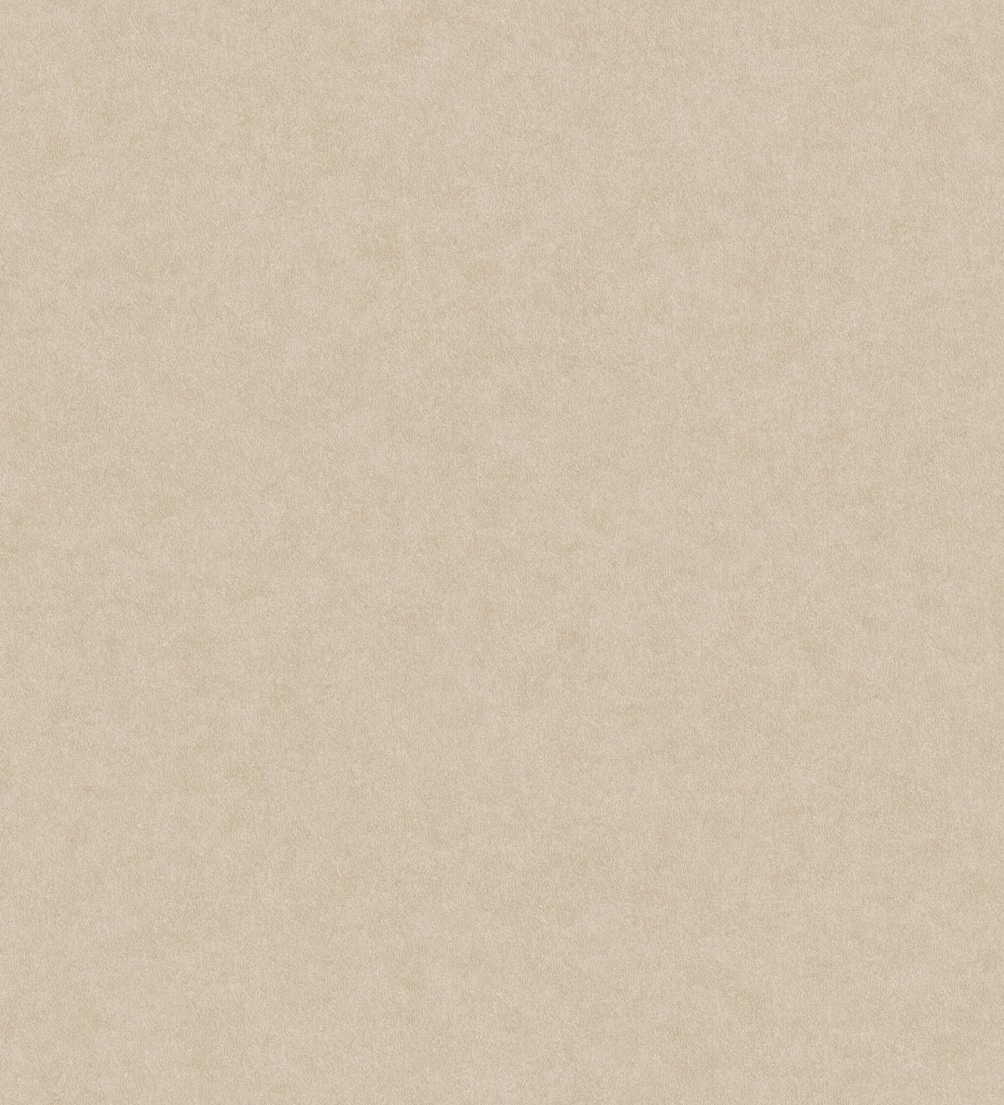 GAULAN 683445 - Vliestapete, Strapazierfähig, Abwaschbar. Einfarbige Tapete mit tonartiger Struktur und natürlicher Oberfläche in Beige für Wohnzimmer - Rolle 10 m x 0,52 m
